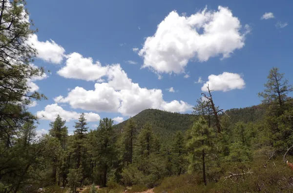 $354,900 | 18 E Pine Hollow Trail, Pine, AZ 85544