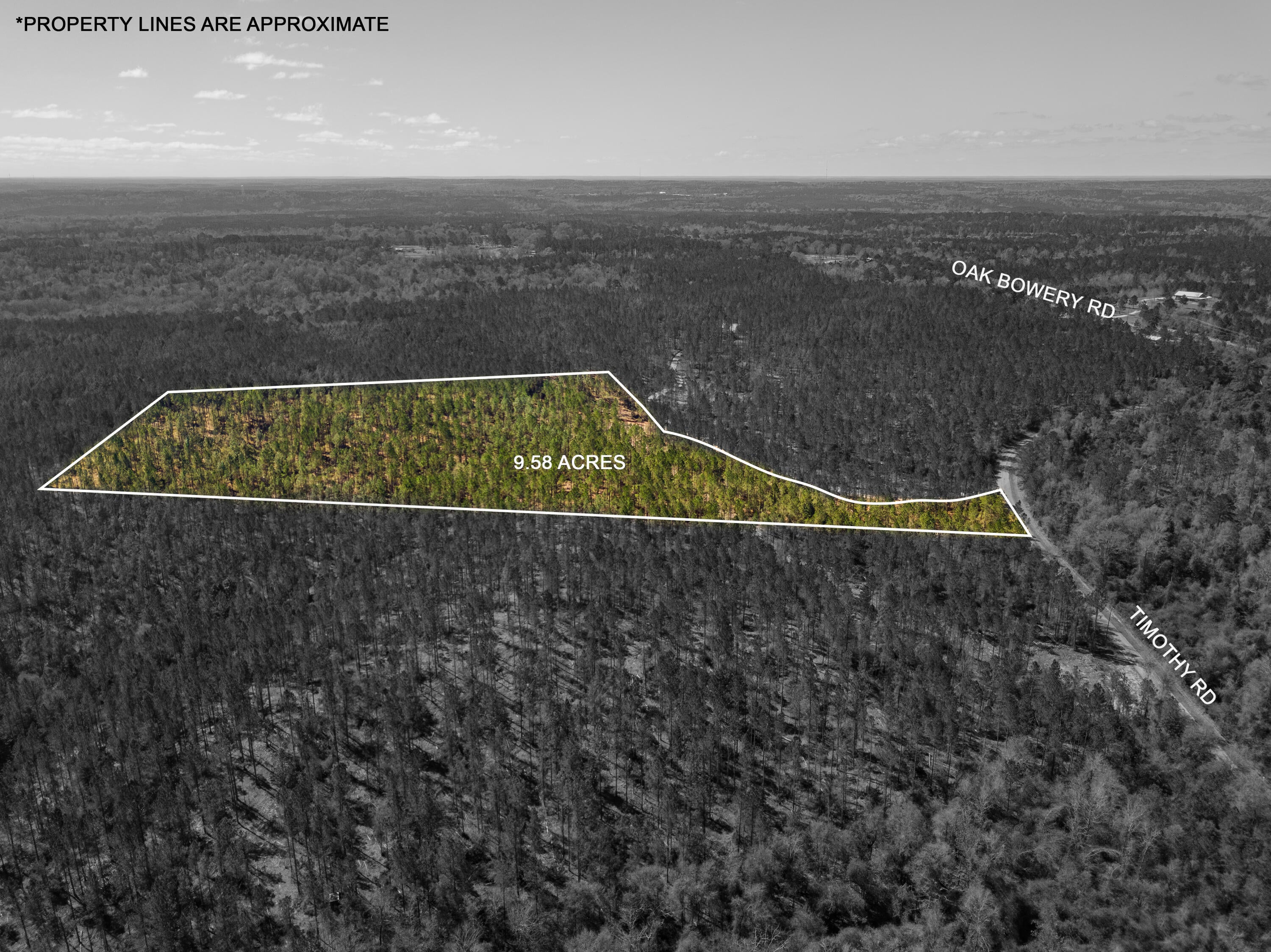 Lot 6 Timothy Road Ellisville, MS 39437 - Photo 4 of 26 Gallery Image 4