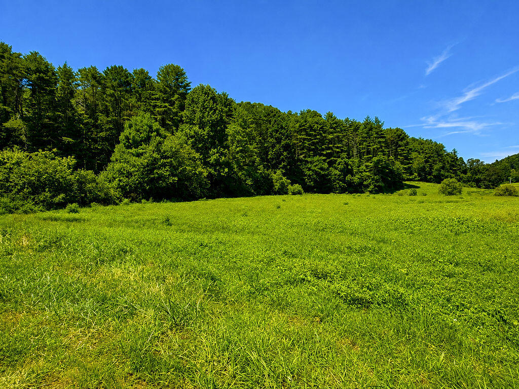 1 Sunny Point Road Murphy, NC 28906 - Photo 8 of 13 Gallery Image 8