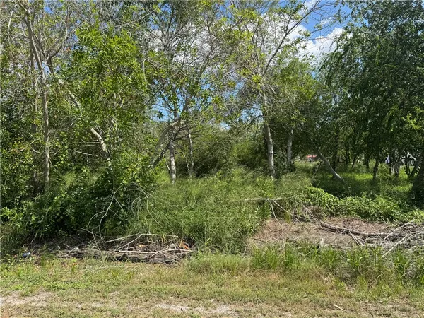 a view of outdoor space and tree