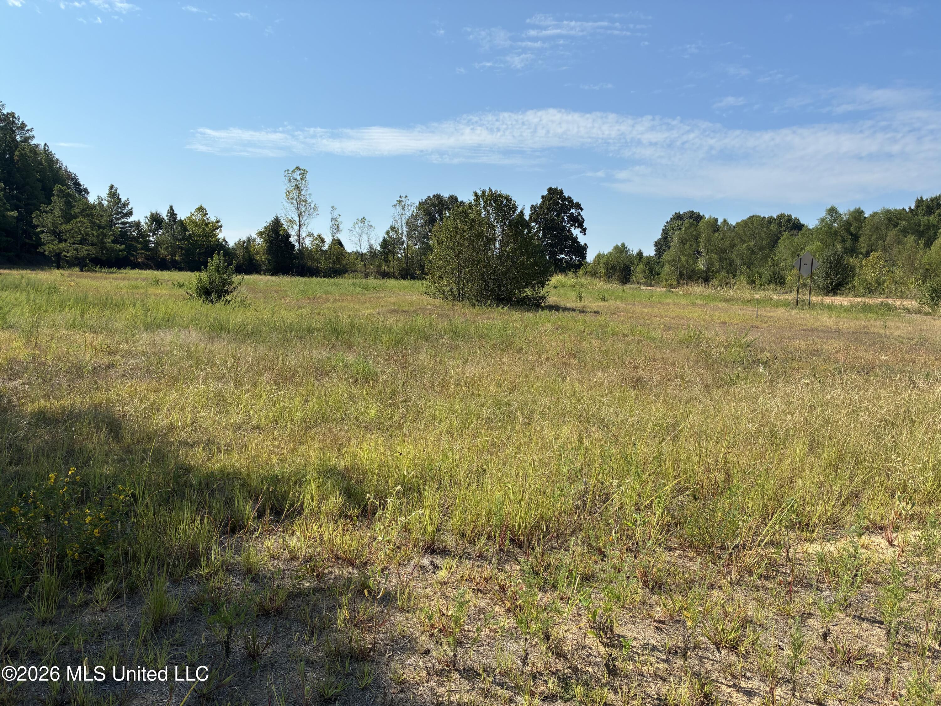 577 Star Landing Road Hernando, MS 38651 - Photo 3 of 5 IMG_2948