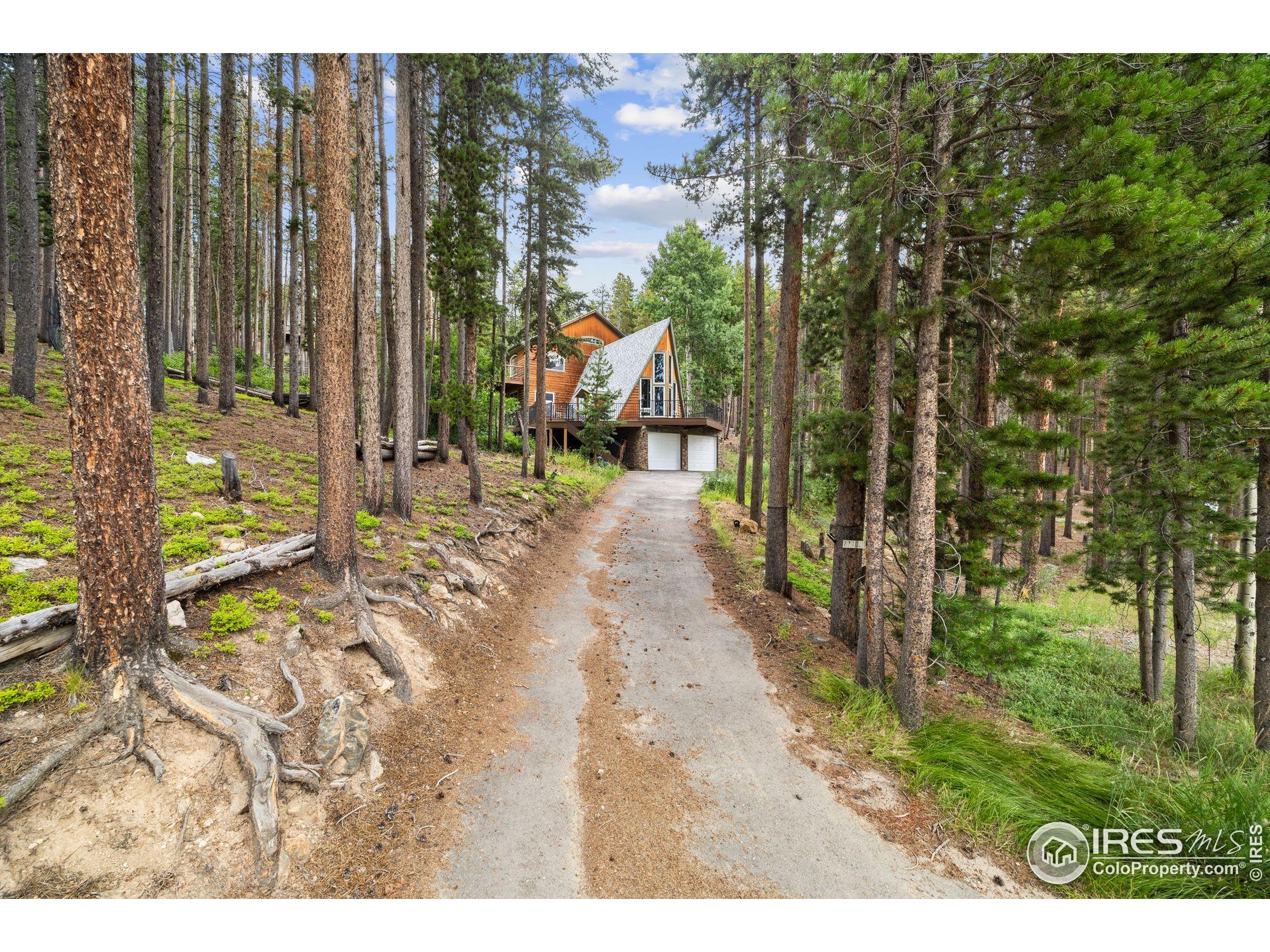 46 Apache Road Evergreen, CO 80439 - Photo 36 of 39 a view of outdoor space and yard
