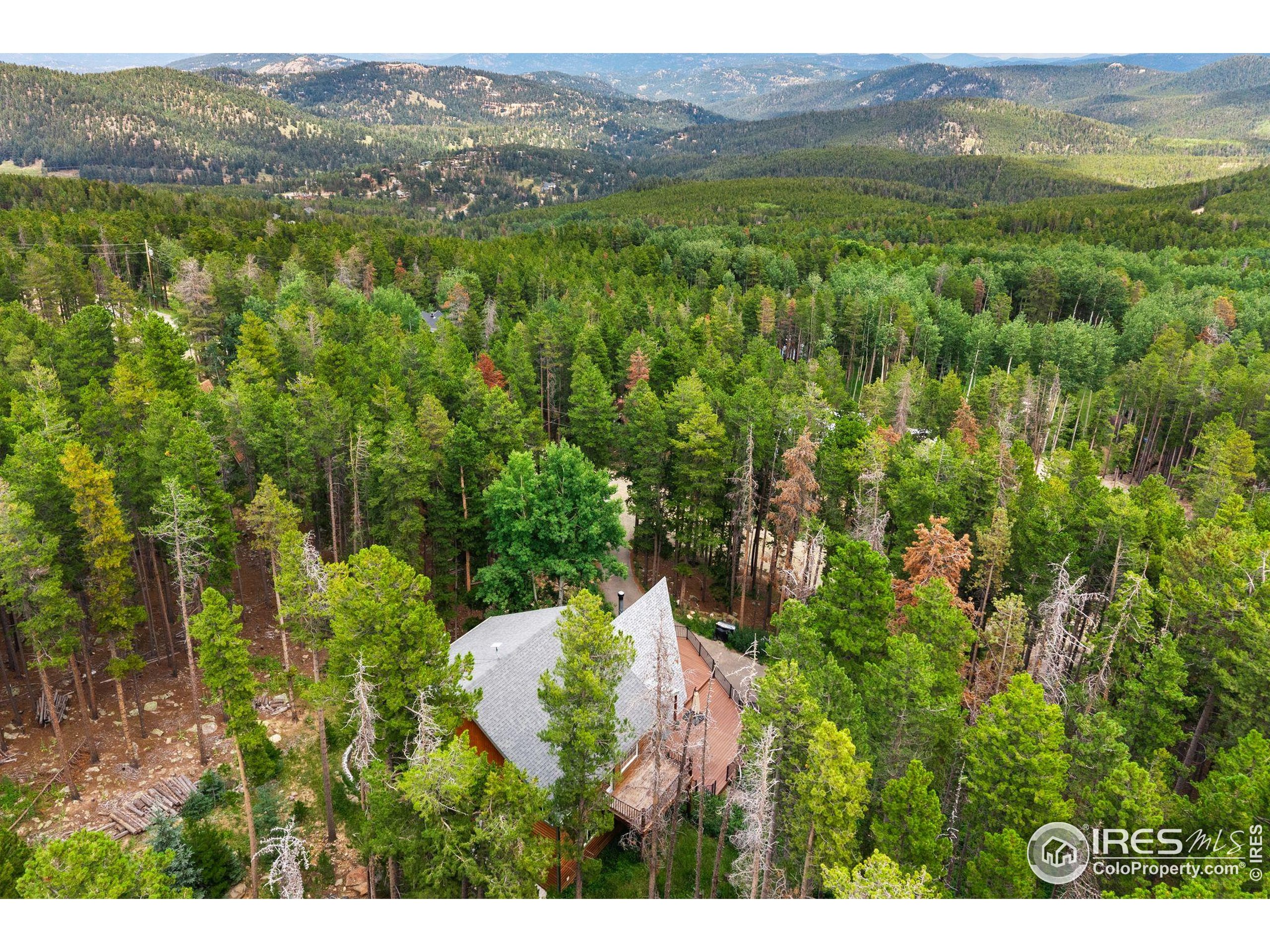 46 Apache Road Evergreen, CO 80439 - Photo 39 of 39 a view of a lush green forest with trees and some houses