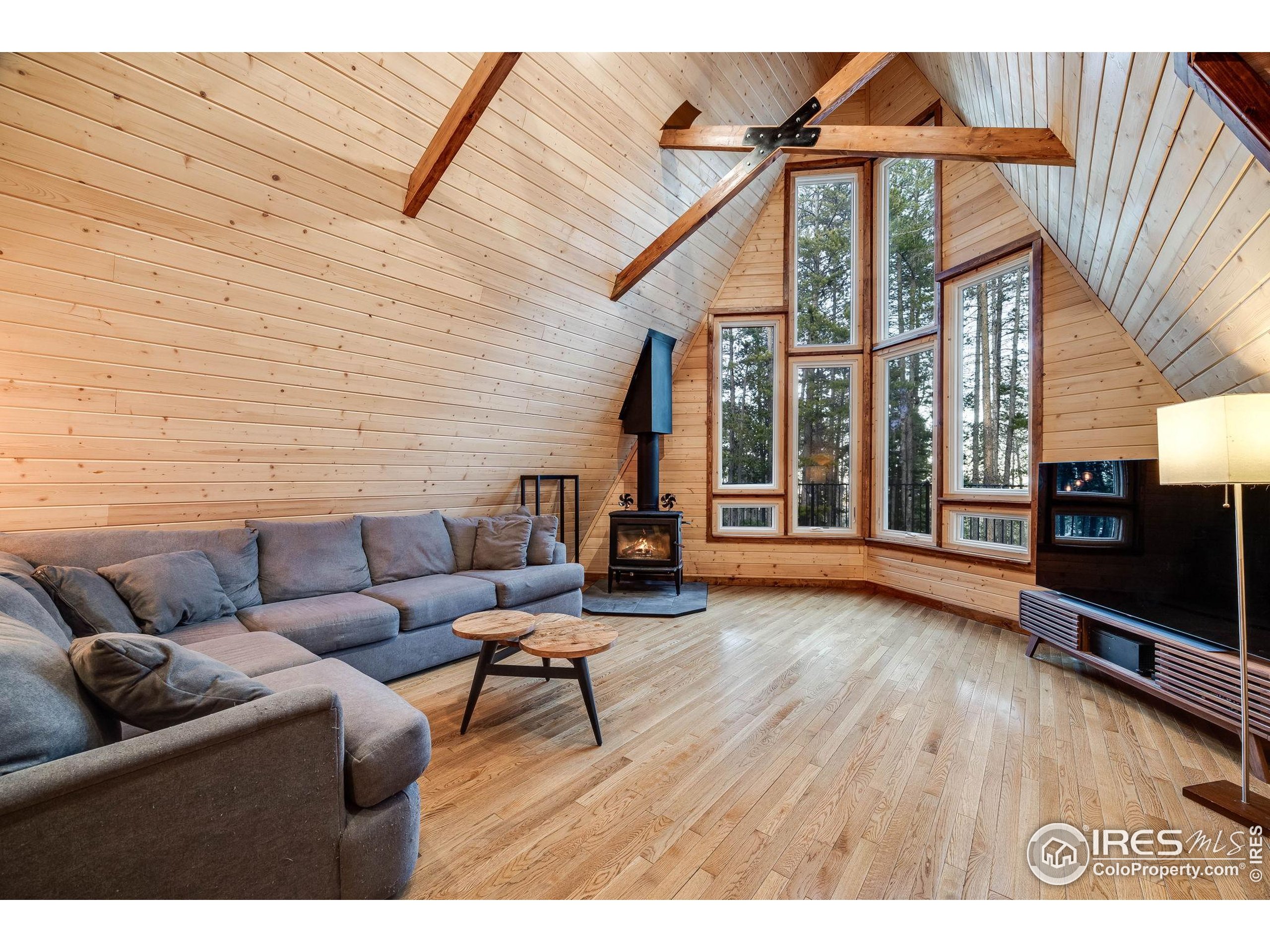 46 Apache Road Evergreen, CO 80439 - Photo 7 of 39 a living room with furniture and a flat screen tv