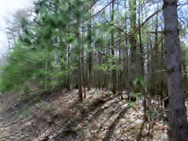 Lot 9 South Bay Road Manitowish Waters, WI 54545 - Photo 3 of 4 Gallery Image 3