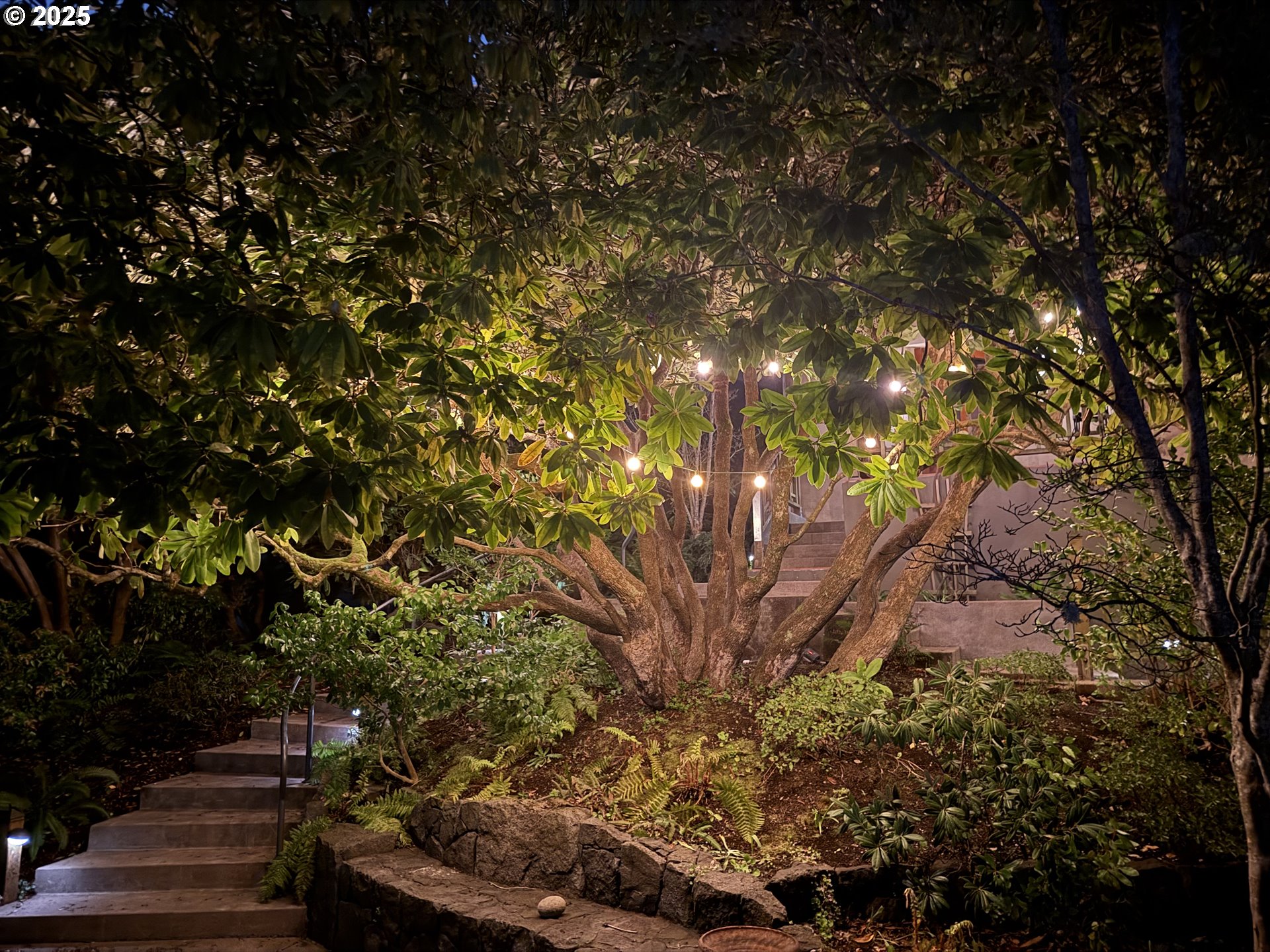 2775 Elinor Street Eugene, OR 97403 - Photo 44 of 48 a view of plants and trees in the background