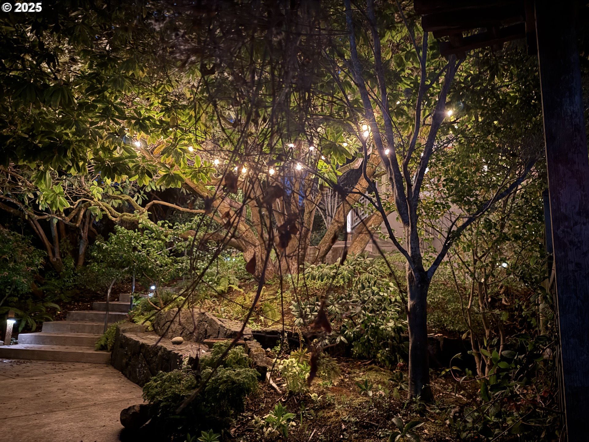 2775 Elinor Street Eugene, OR 97403 - Photo 45 of 48 a backyard of a house with lots of green space