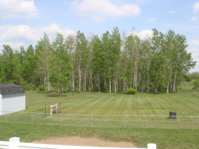 7675 Irish Road Millington, MI 48746 - Photo 11 of 12 20357215-10.JPG