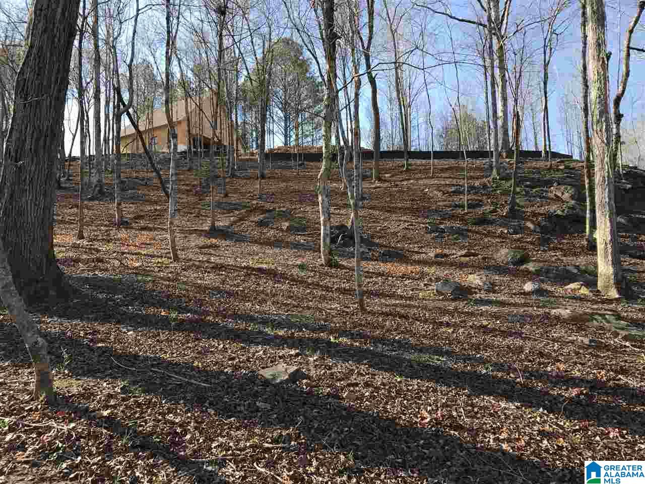 2111 Red Oak Road Helena, AL 35080 - Photo 21 of 34