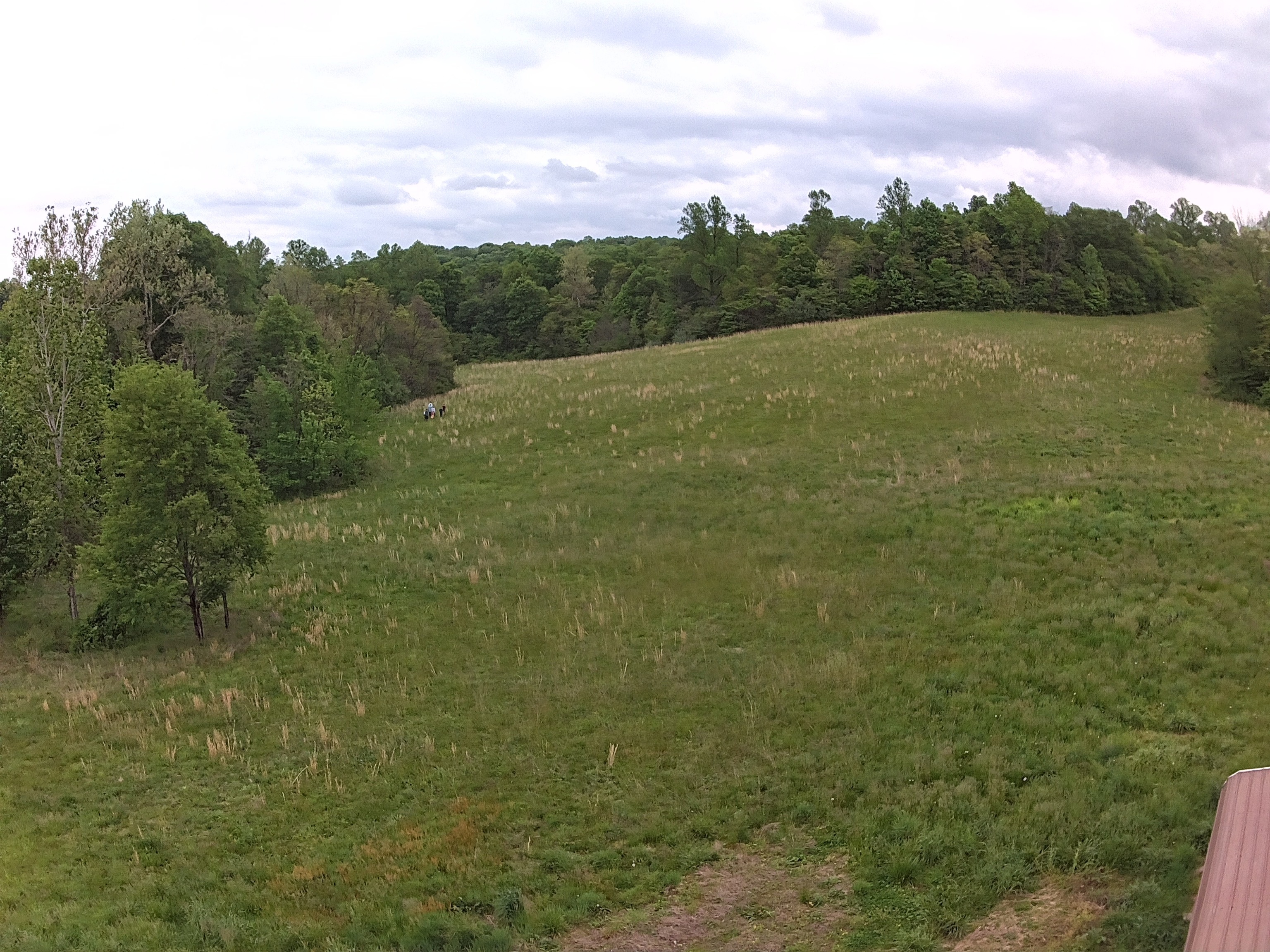 4176 Parrish Road Freedom, IN 47431 - Photo 2 of 8