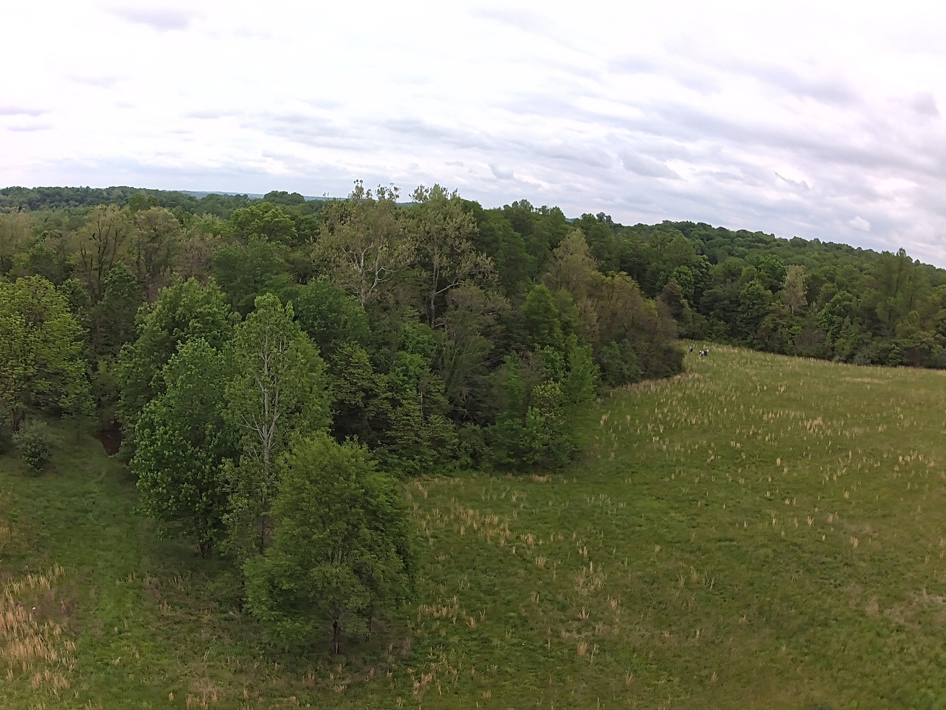 4176 Parrish Road Freedom, IN 47431 - Photo 5 of 8