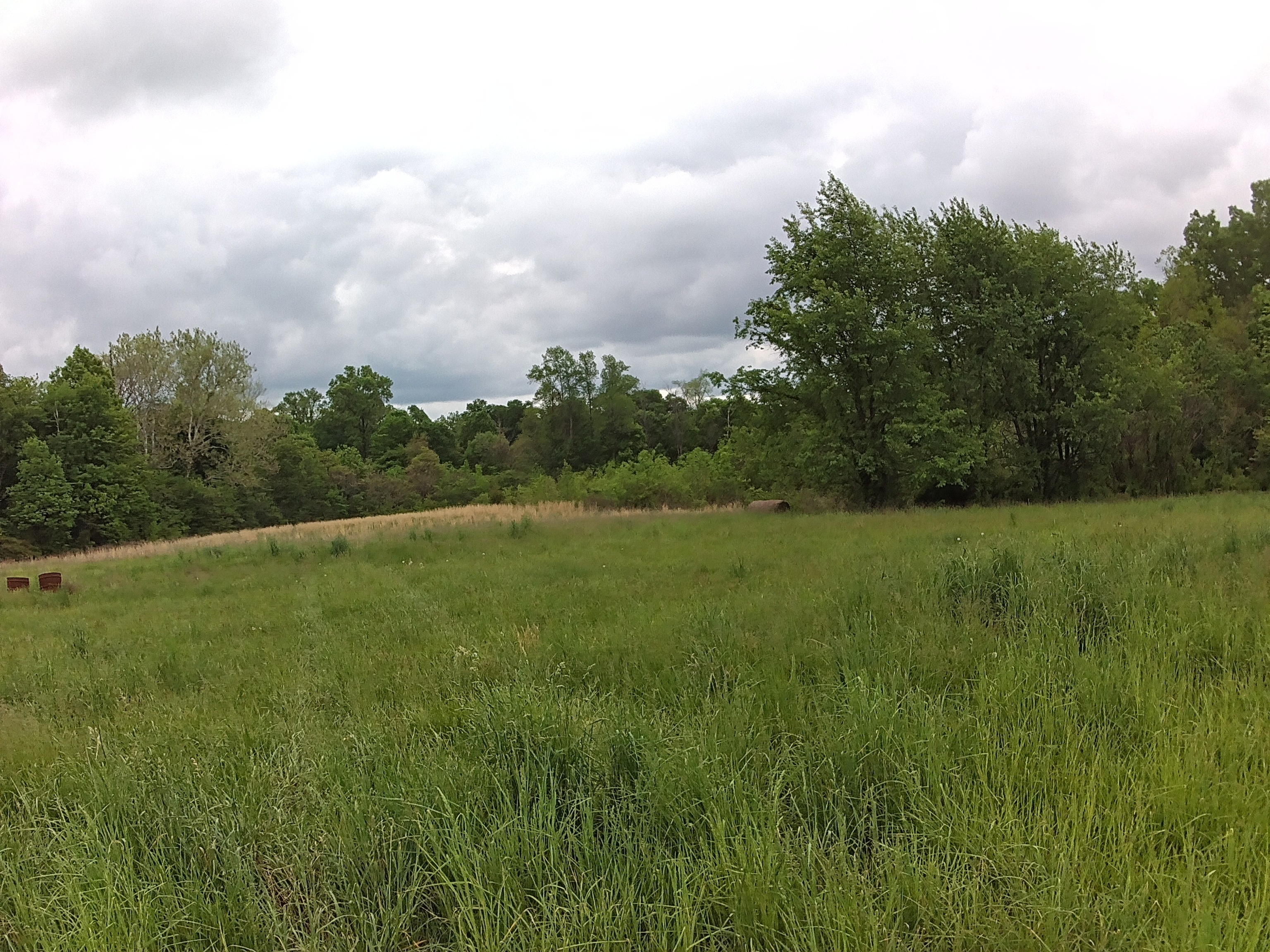 4176 Parrish Road Freedom, IN 47431 - Photo 6 of 8