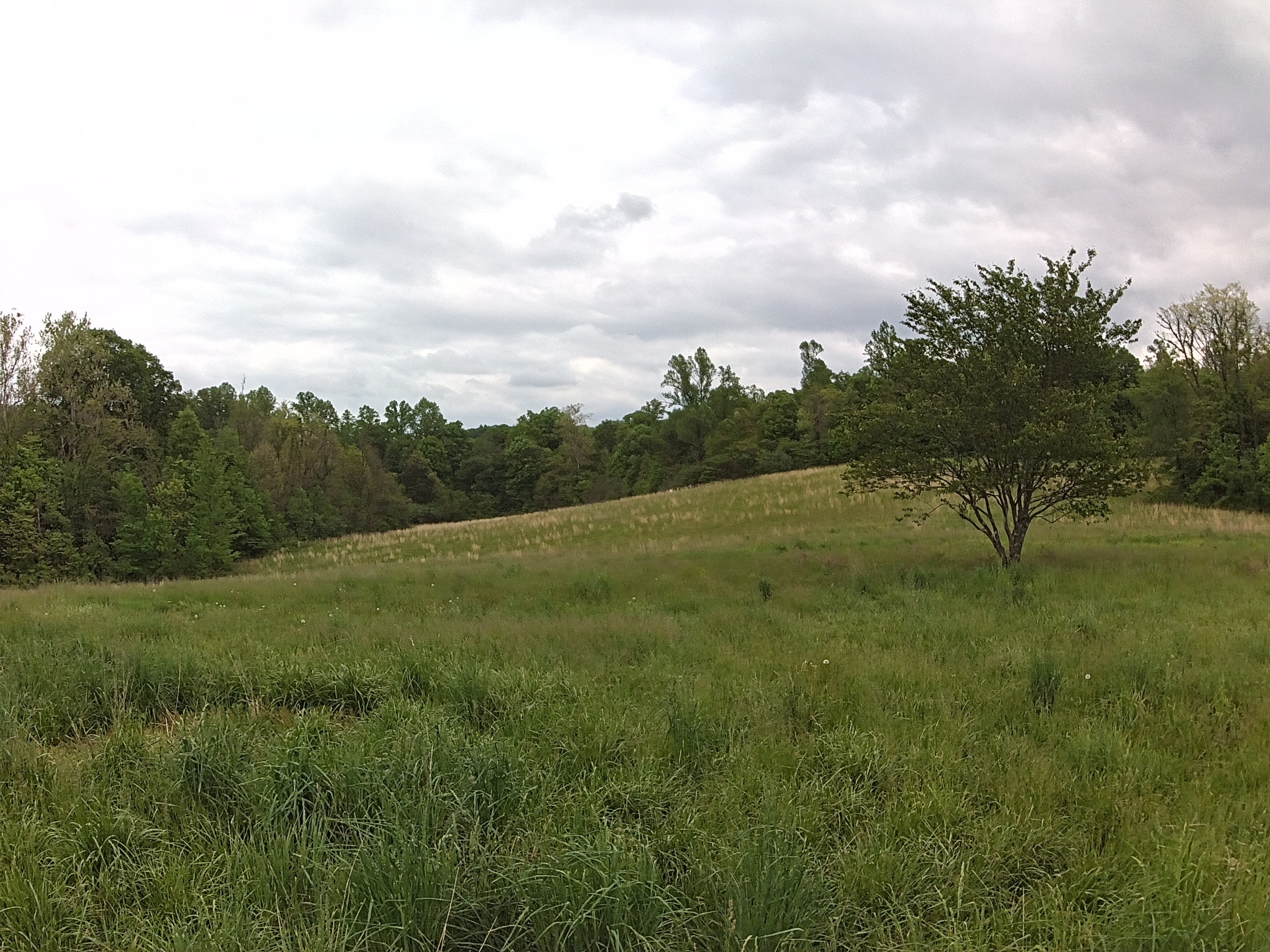 4176 Parrish Road Freedom, IN 47431 - Photo 7 of 8