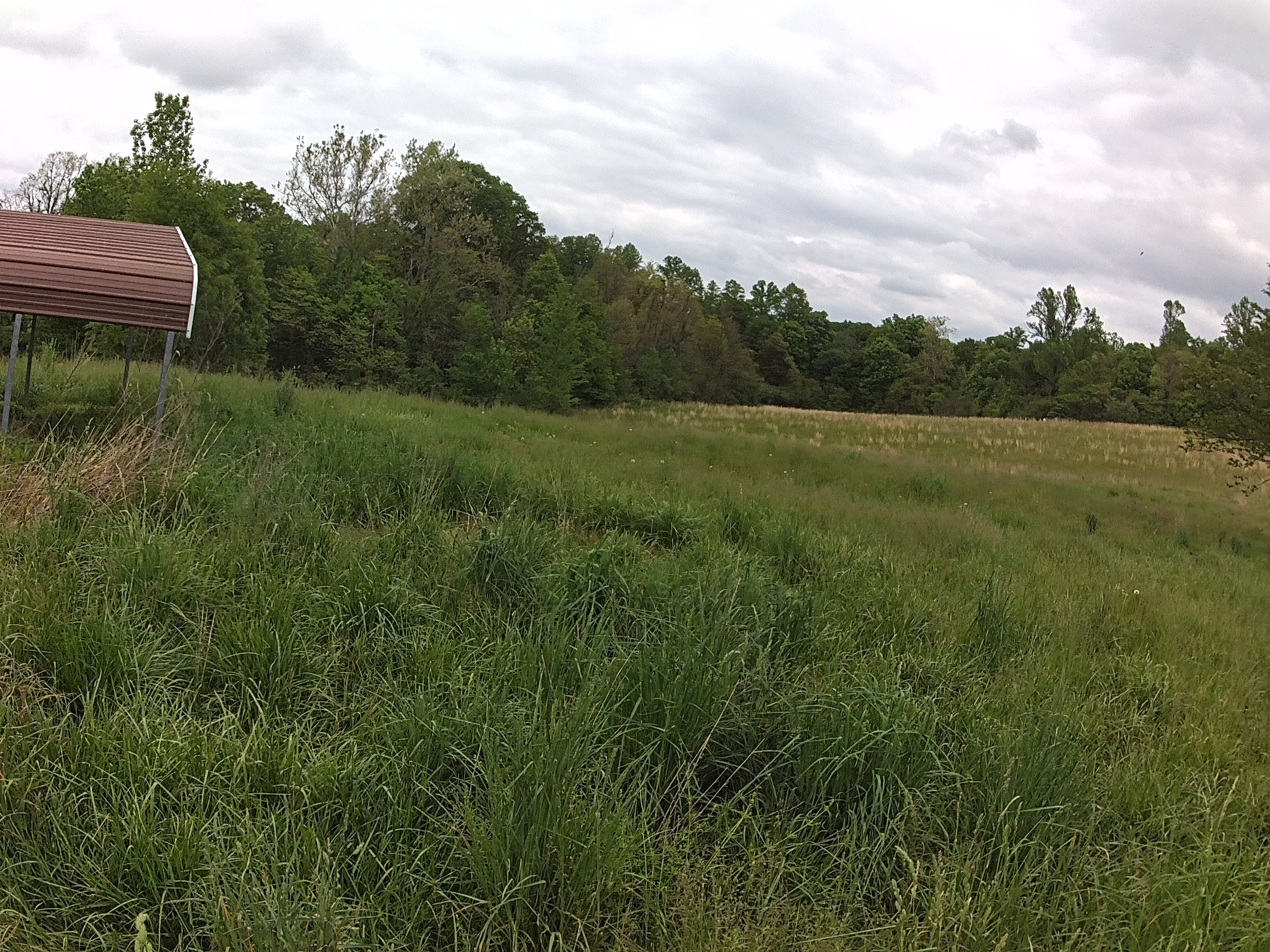 4176 Parrish Road Freedom, IN 47431 - Photo 8 of 8