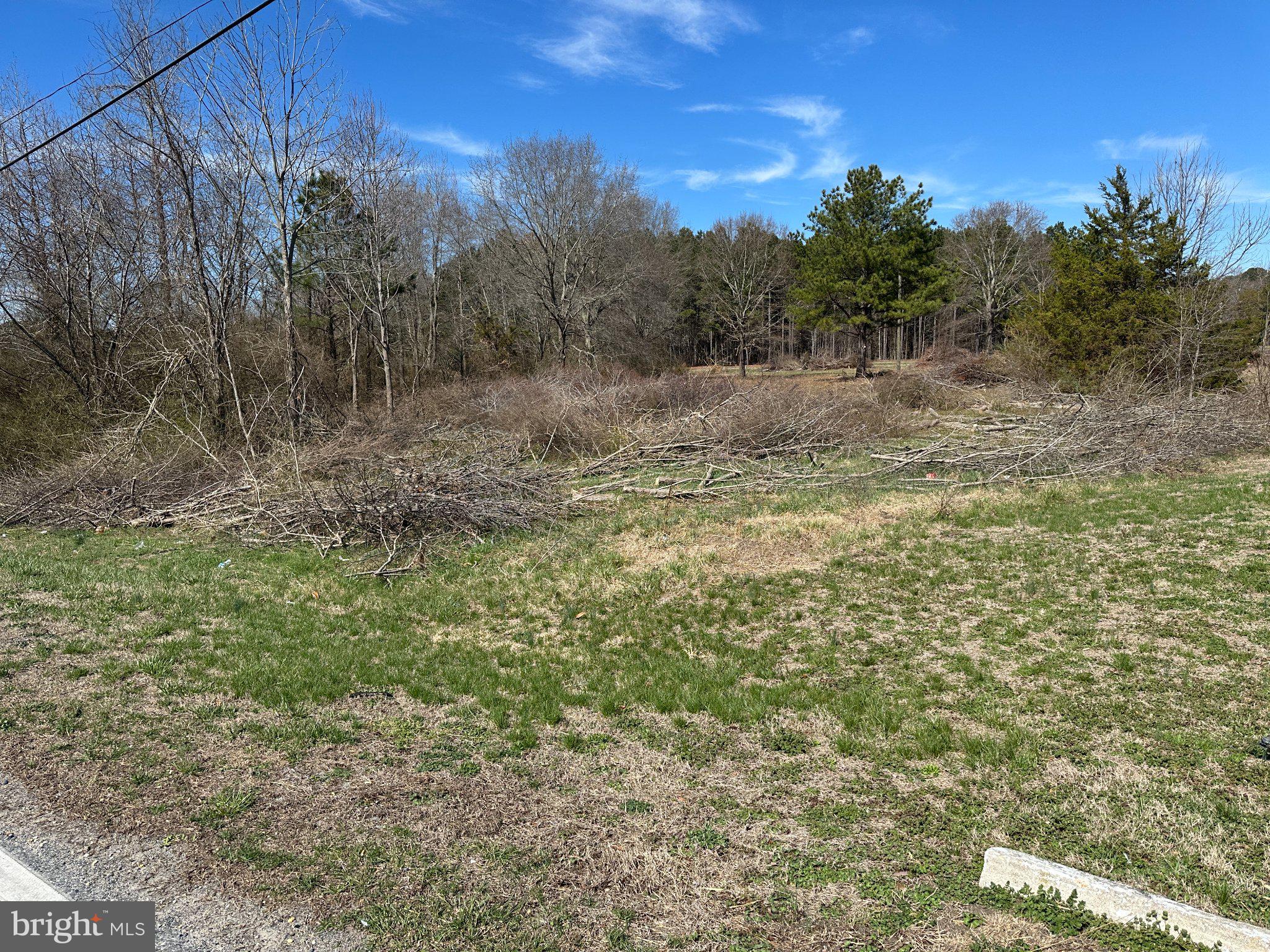 0 Barren Creek Road Mardela Springs, MD 21837 - Photo 11 of 20 a view of a yard with trees in the background