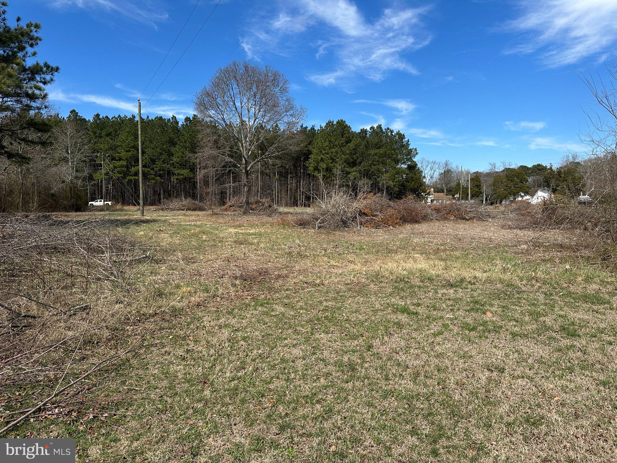 0 Barren Creek Road Mardela Springs, MD 21837 - Photo 15 of 20 a view of a yard with a tree