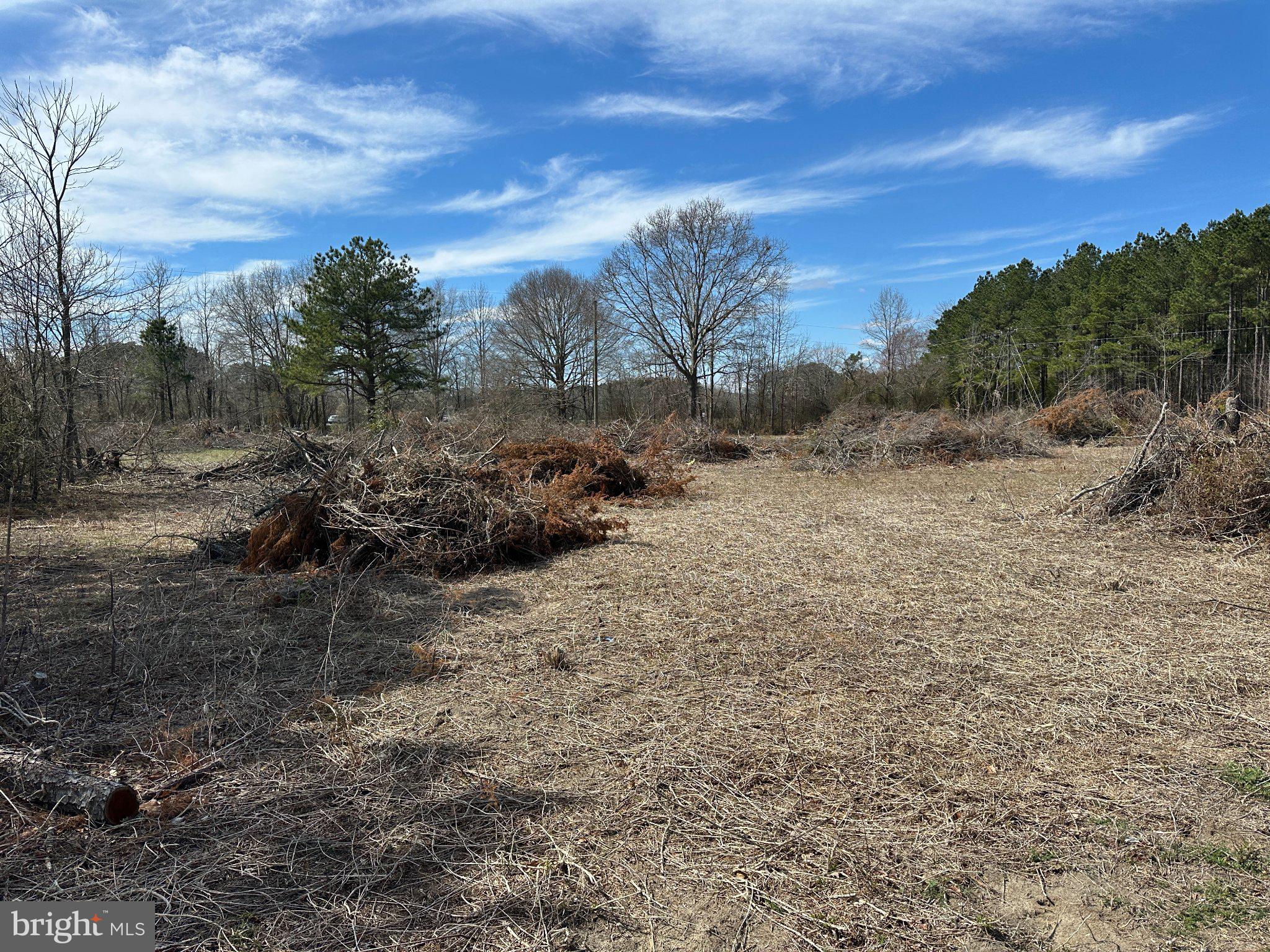 0 Barren Creek Road Mardela Springs, MD 21837 - Photo 17 of 20 a view of a dry yard with trees