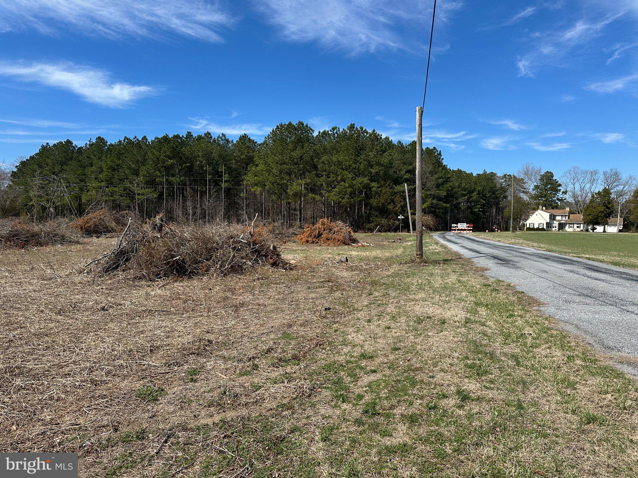 0 Barren Creek Road Mardela Springs, MD 21837 - Photo 18 of 20 a view of a road with a yard
