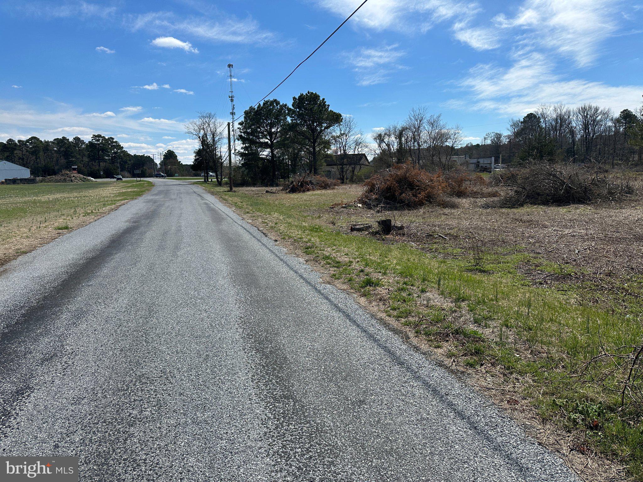0 Barren Creek Road Mardela Springs, MD 21837 - Photo 19 of 20 a view of a rural road with plants