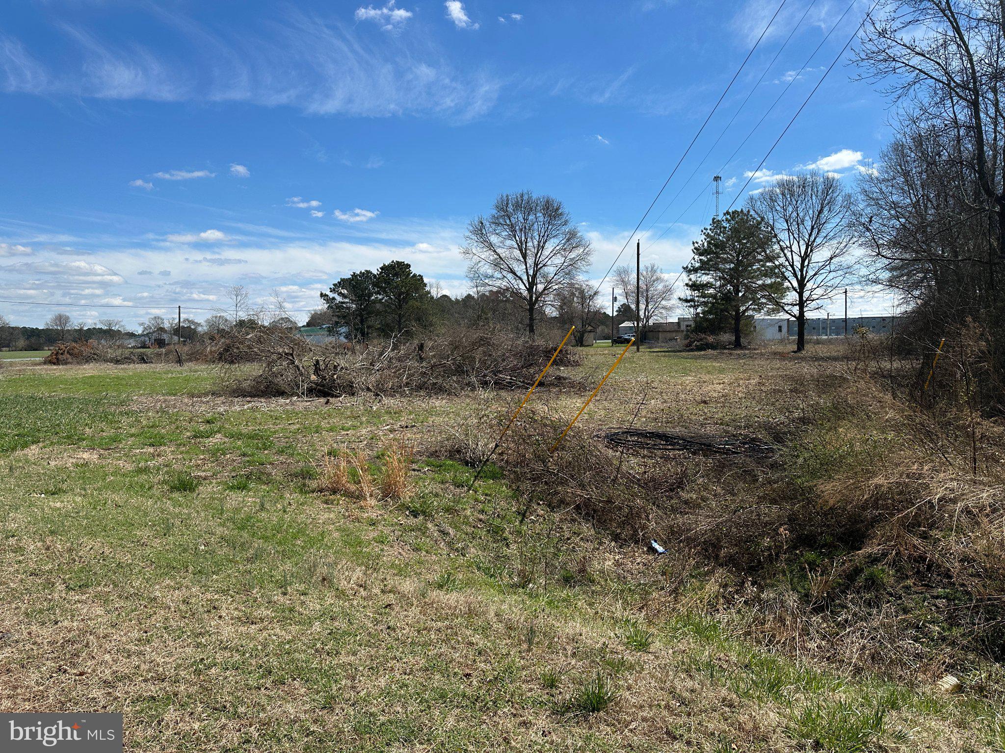 0 Barren Creek Road Mardela Springs, MD 21837 - Photo 2 of 20