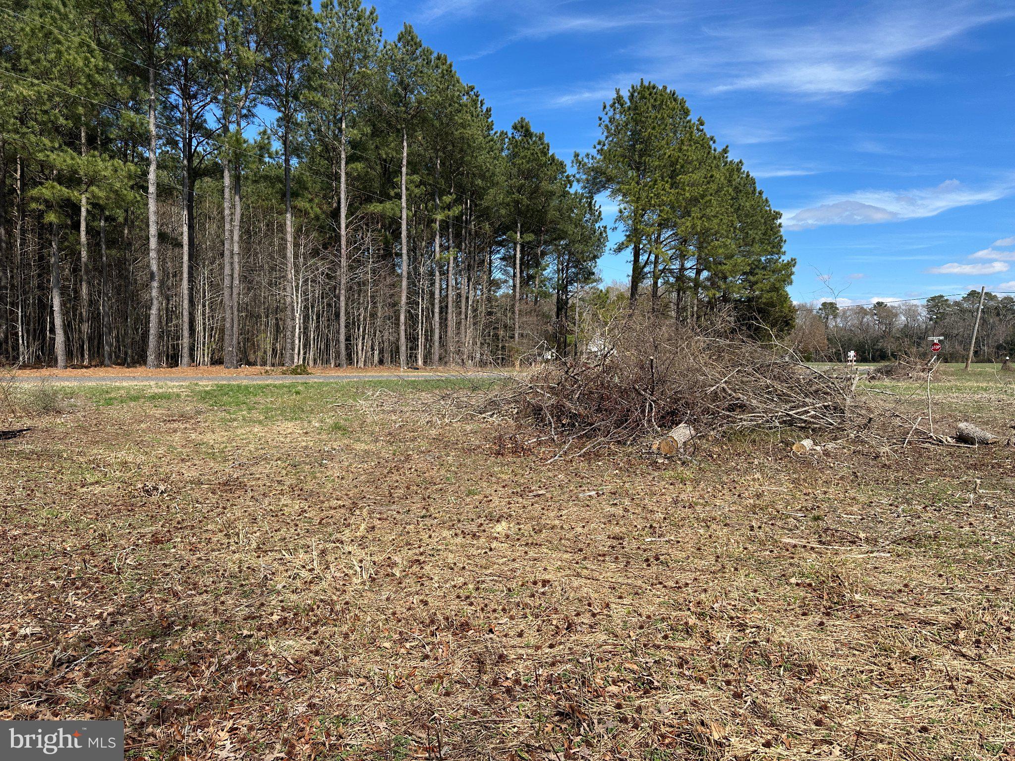 0 Barren Creek Road Mardela Springs, MD 21837 - Photo 3 of 20 a big yard with lots of green space and trees