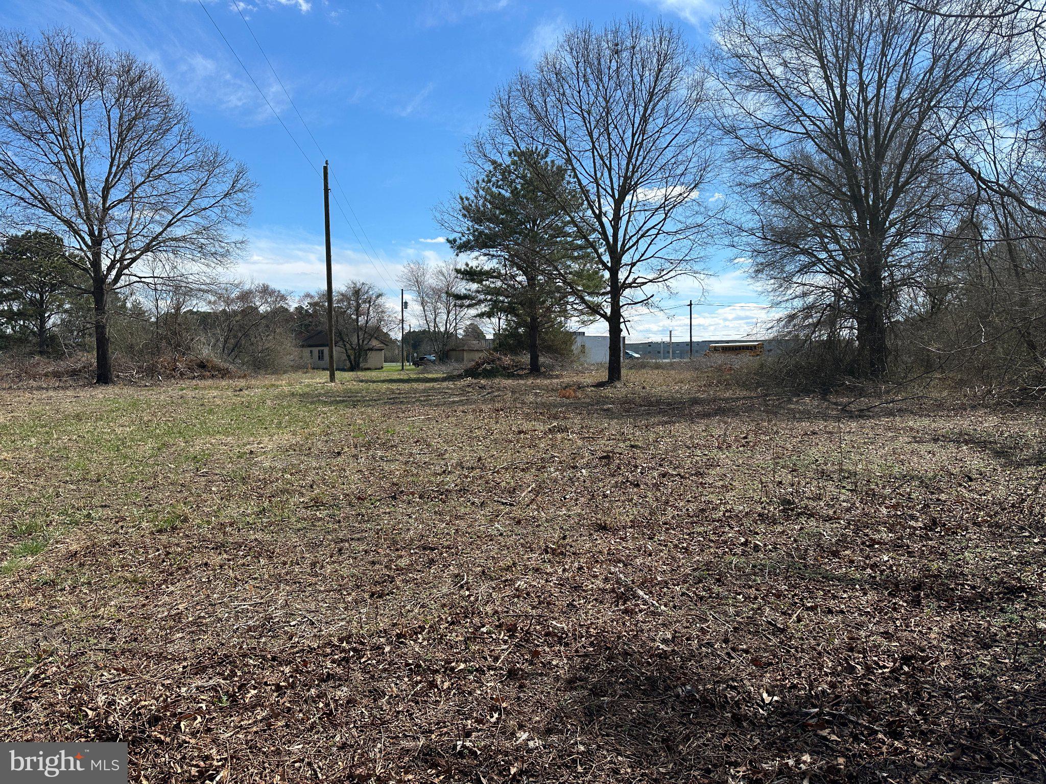 0 Barren Creek Road Mardela Springs, MD 21837 - Photo 5 of 20 a view of a yard with trees