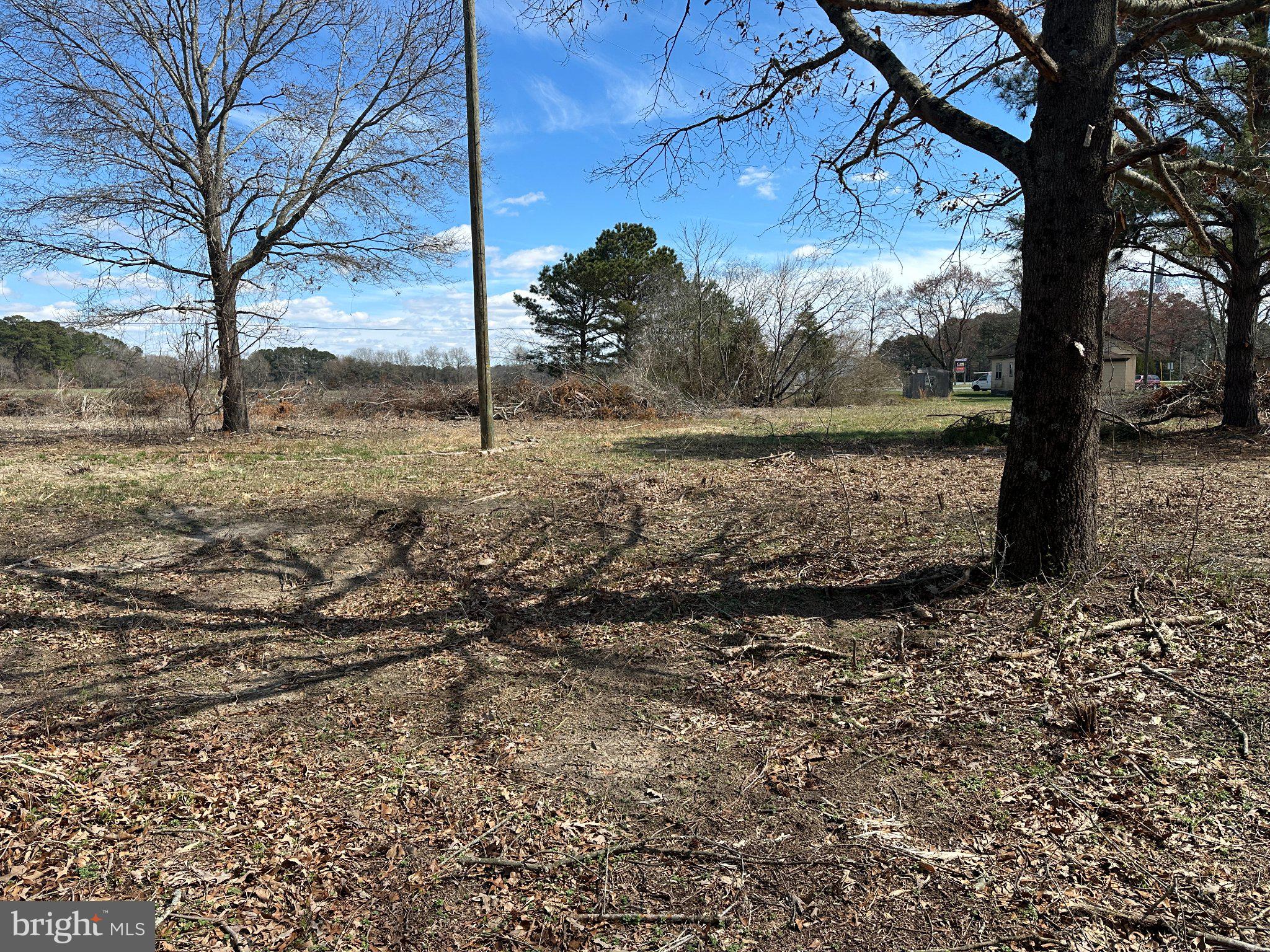 0 Barren Creek Road Mardela Springs, MD 21837 - Photo 7 of 20 a view of a yard with a tree