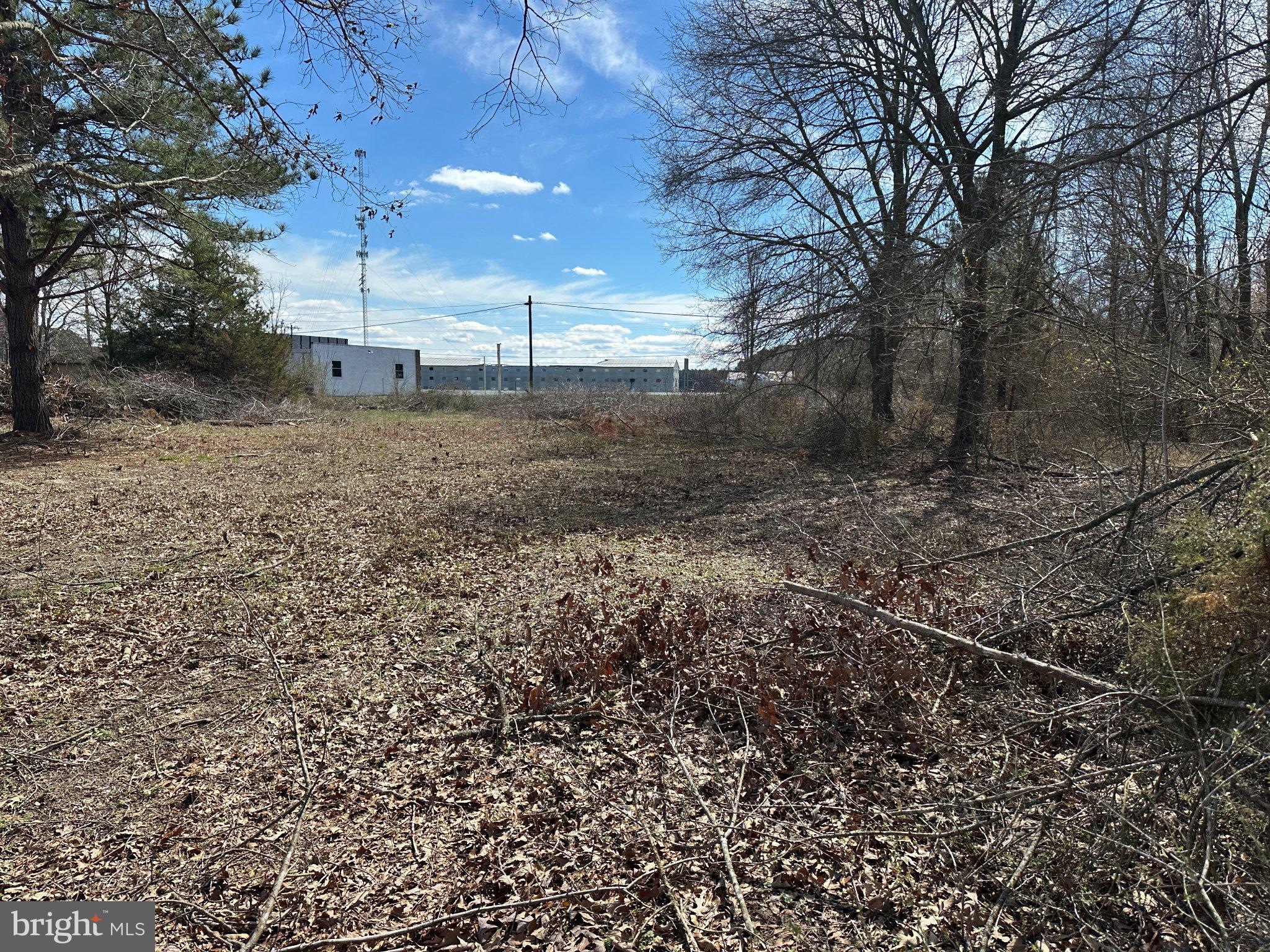 0 Barren Creek Road Mardela Springs, MD 21837 - Photo 8 of 20 a view of a backyard