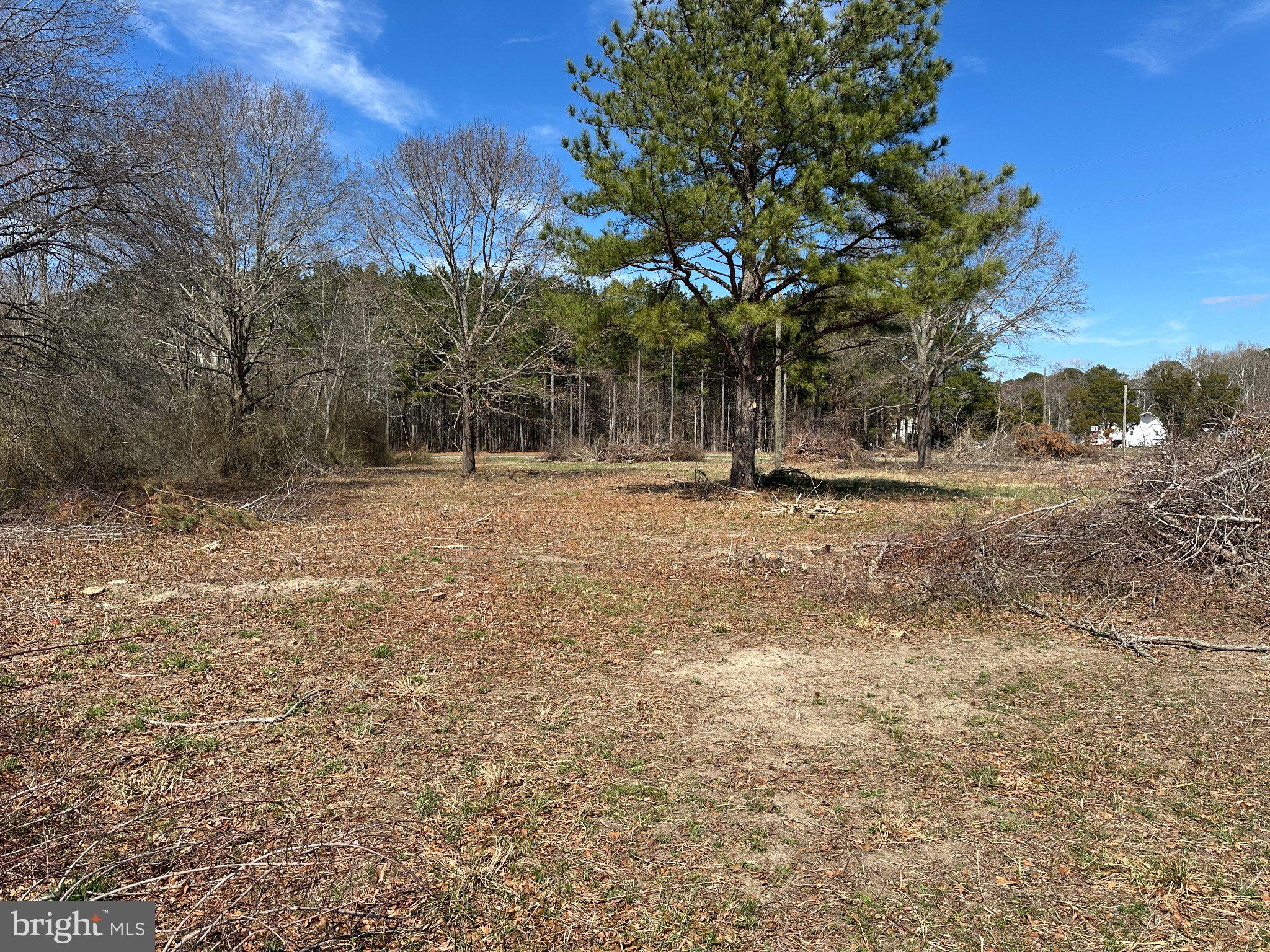 0 Barren Creek Road Mardela Springs, MD 21837 - Photo 9 of 20 a backyard of a house with lots of green space