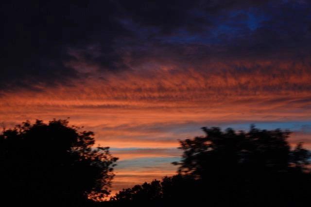 157 Schultz Road Sanford, NY 13754 - Photo 17 of 28