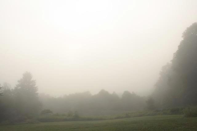 157 Schultz Road Sanford, NY 13754 - Photo 18 of 28