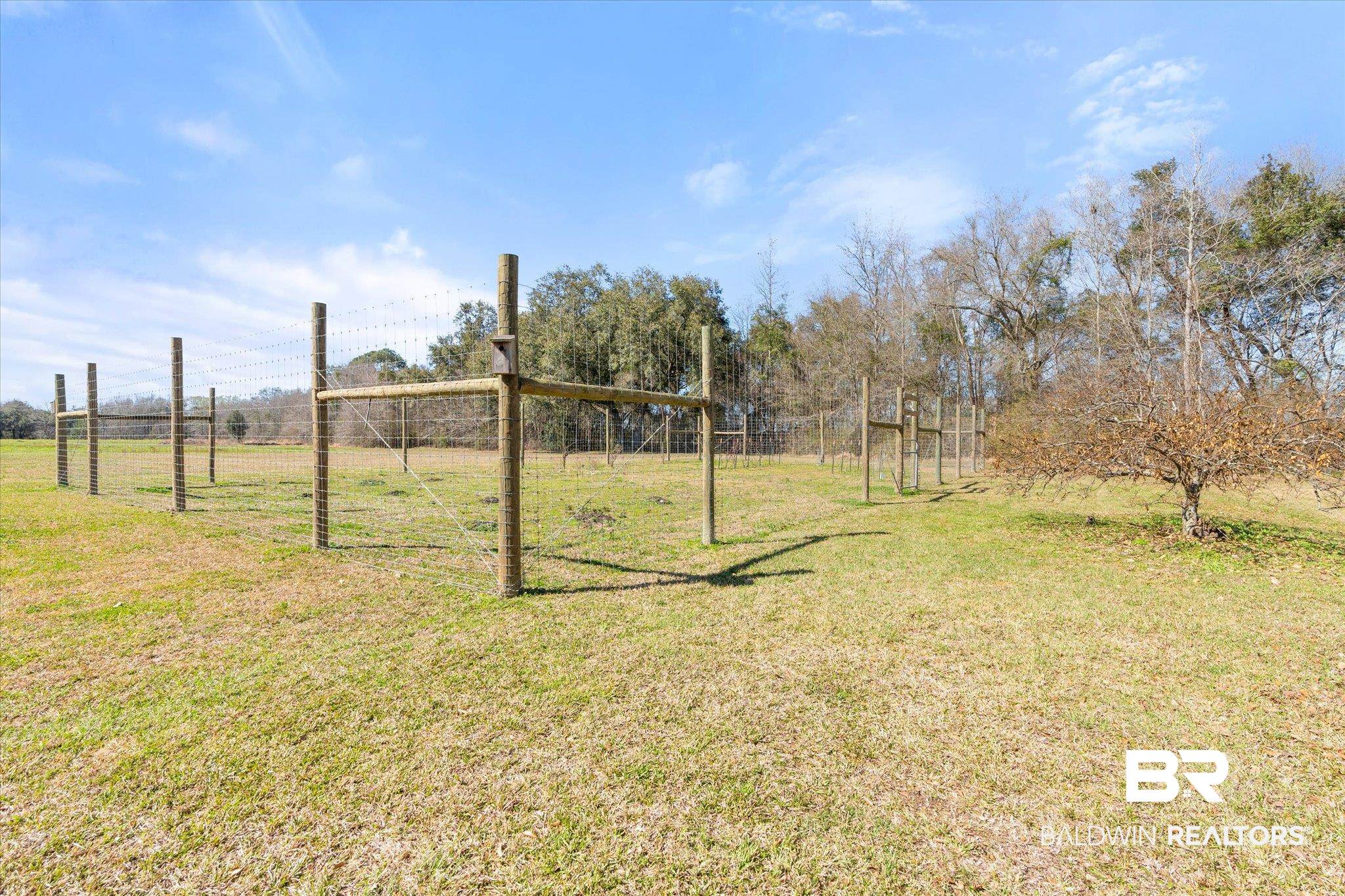 14280 Cat Deakle Road Grand Bay, AL 36541 - Photo 29 of 51 View of yard with fence