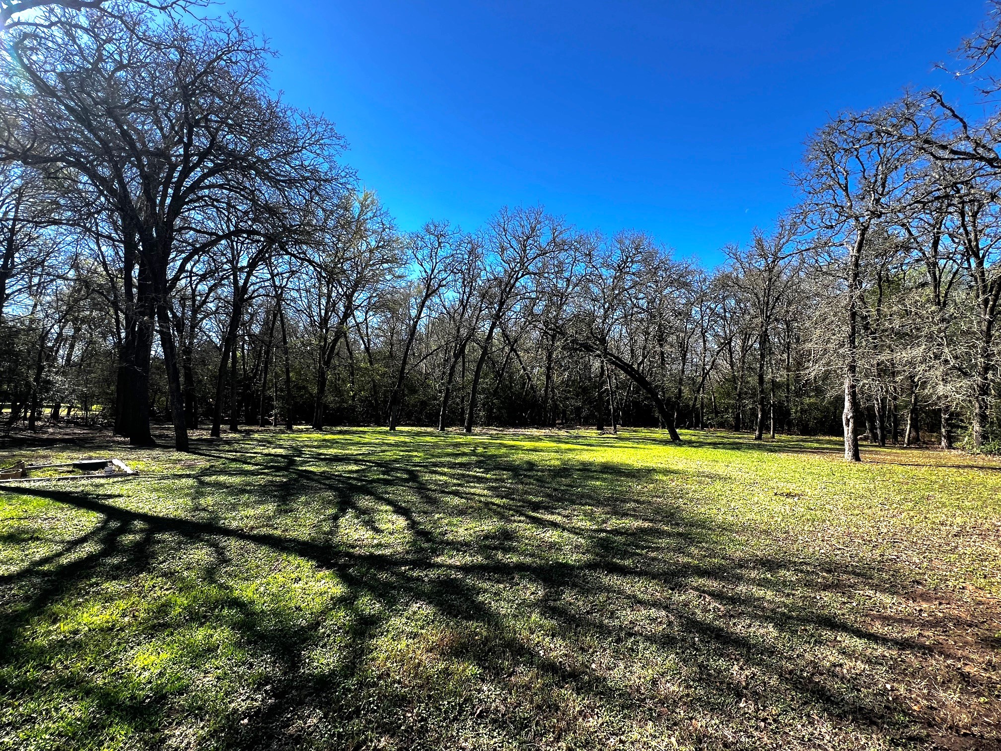 730 Panorama Road La Grange, TX 78945 - Photo 28 of 37 a view of a swimming pool and trees