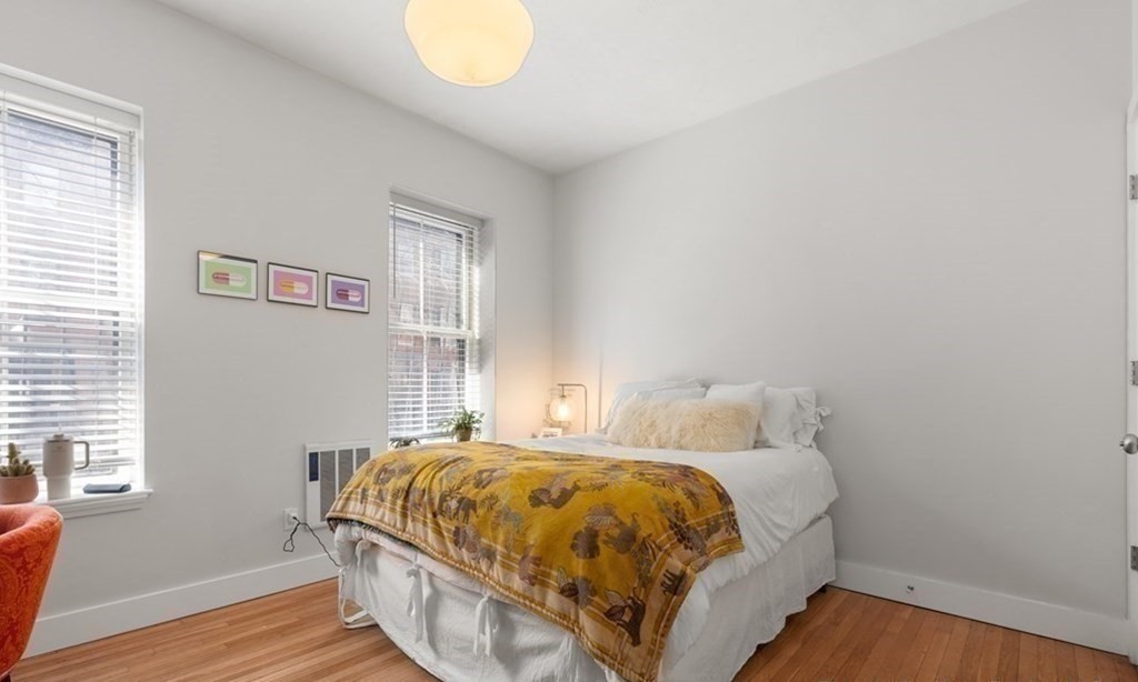 26 East Springfield Street, Unit 1 Boston, MA 02118 - Photo 7 of 9