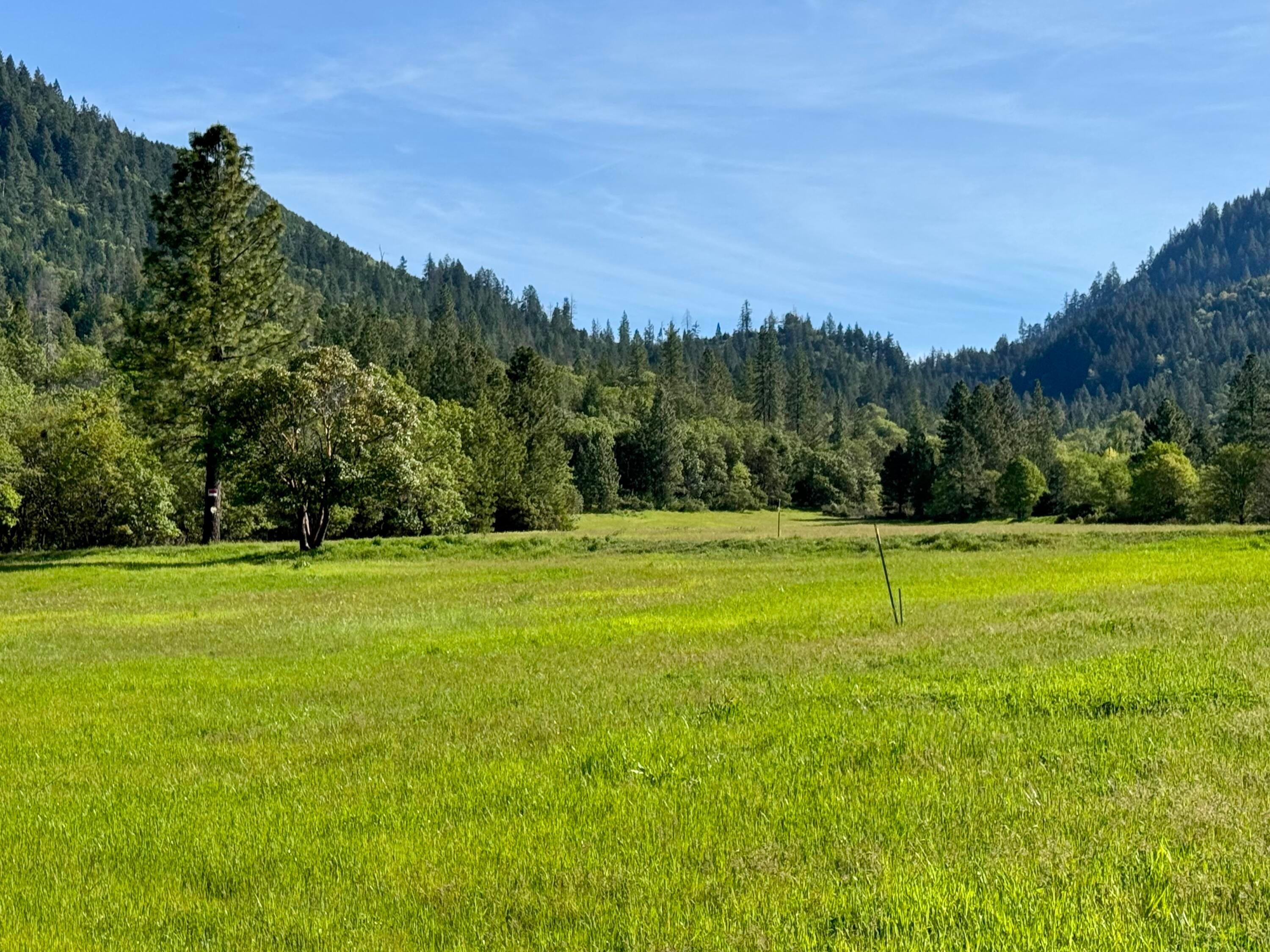 6798 Hugo Road Grants Pass, OR 97526 - Photo 35 of 38 Looking north