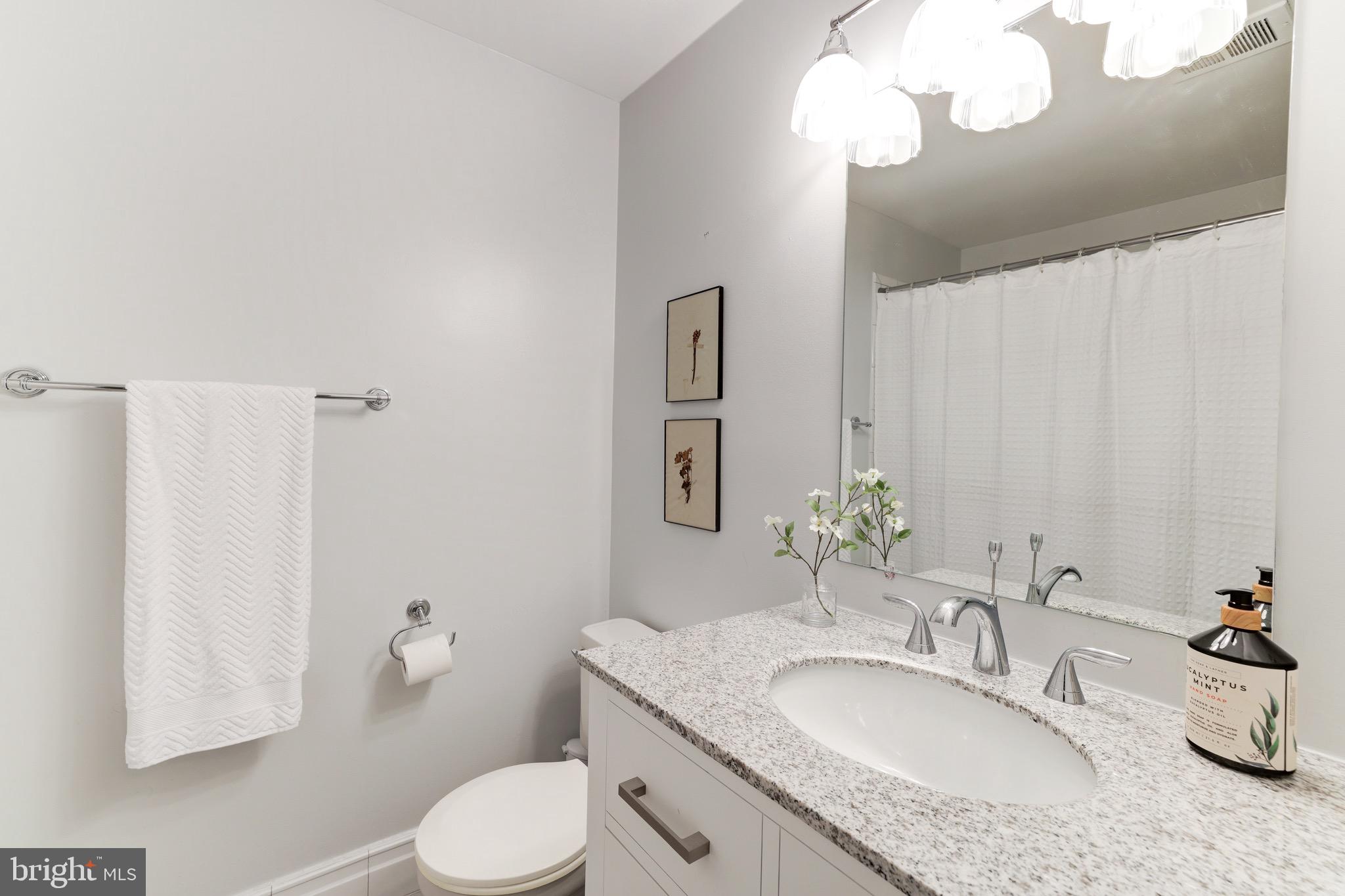 1522 Deer Point Way Reston, VA 20194 - Photo 30 of 51