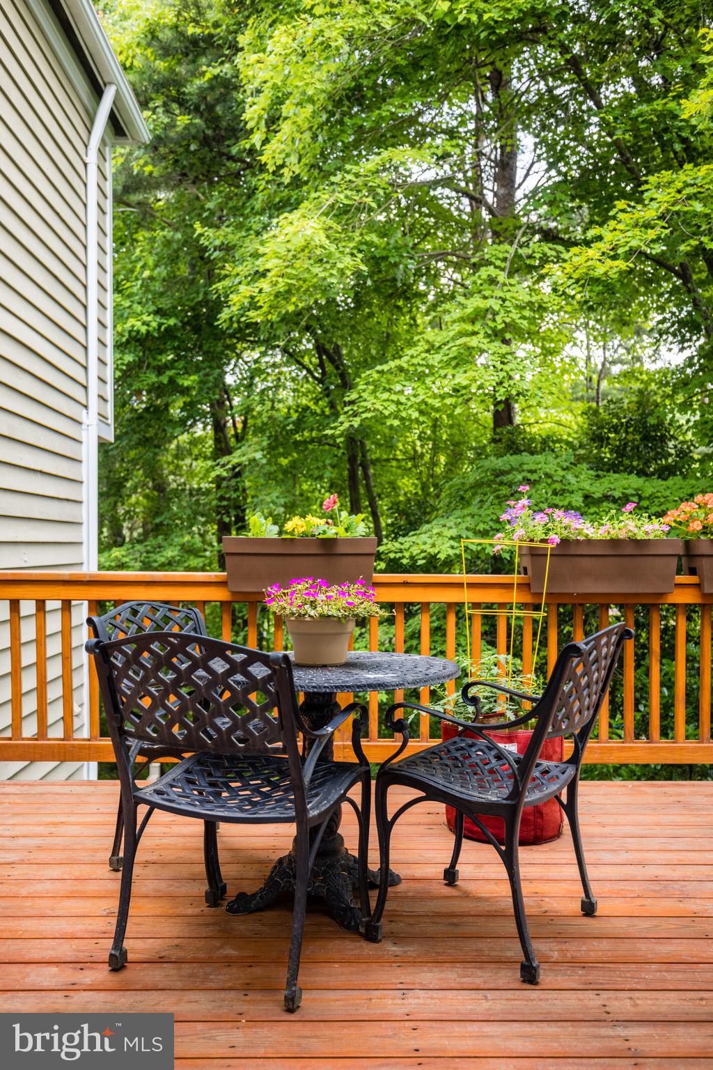 1522 Deer Point Way Reston, VA 20194 - Photo 44 of 51