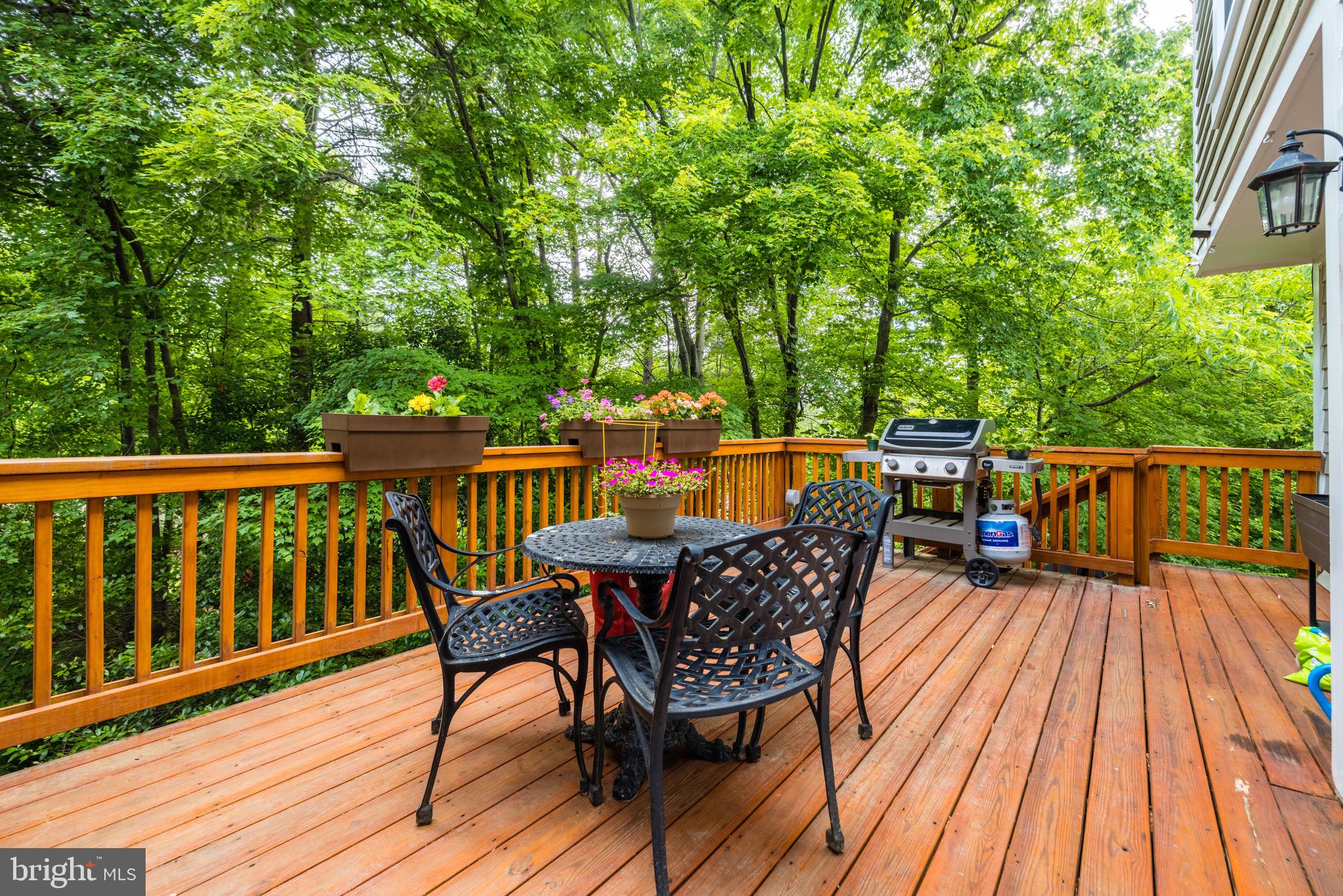 1522 Deer Point Way Reston, VA 20194 - Photo 45 of 51