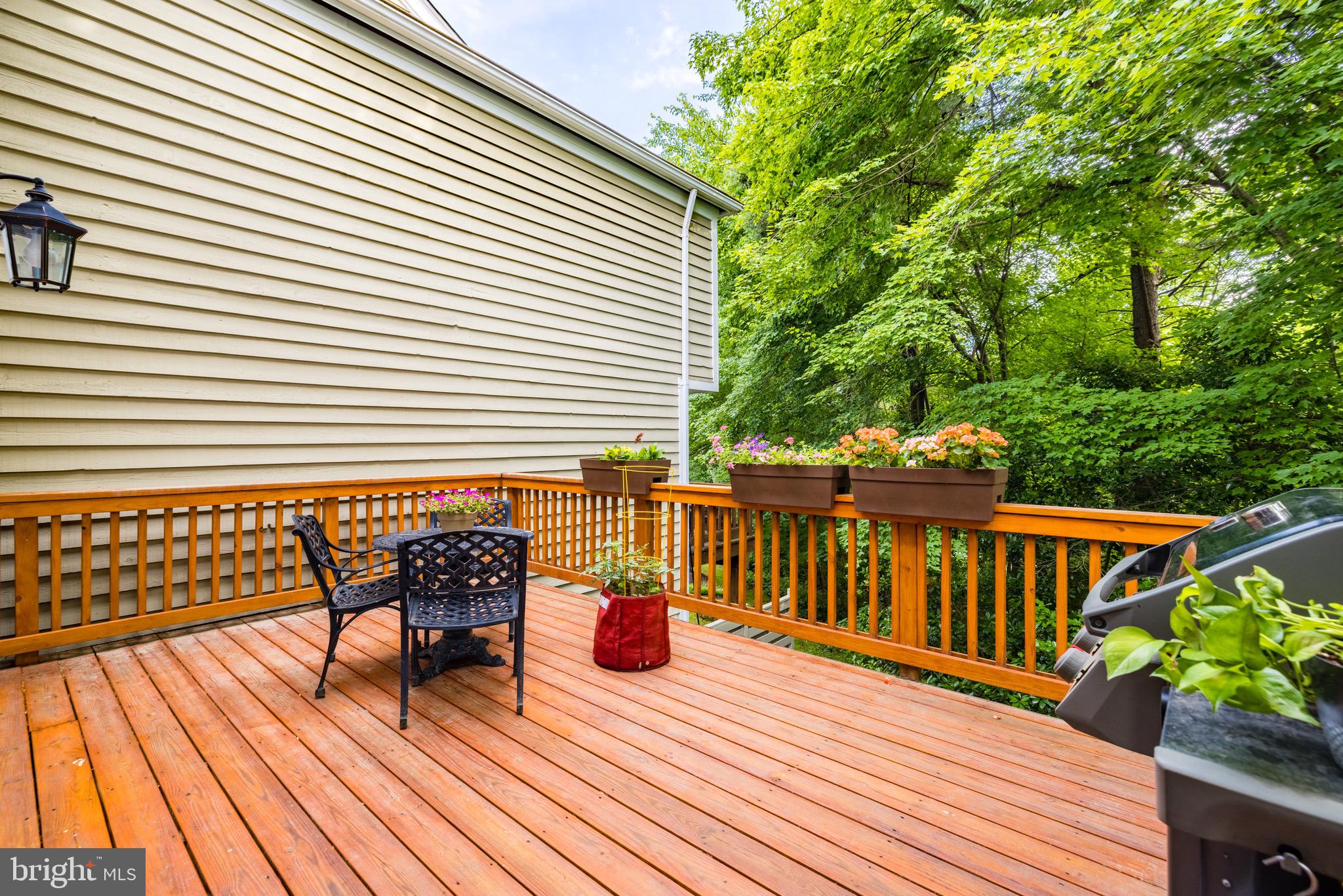1522 Deer Point Way Reston, VA 20194 - Photo 47 of 51