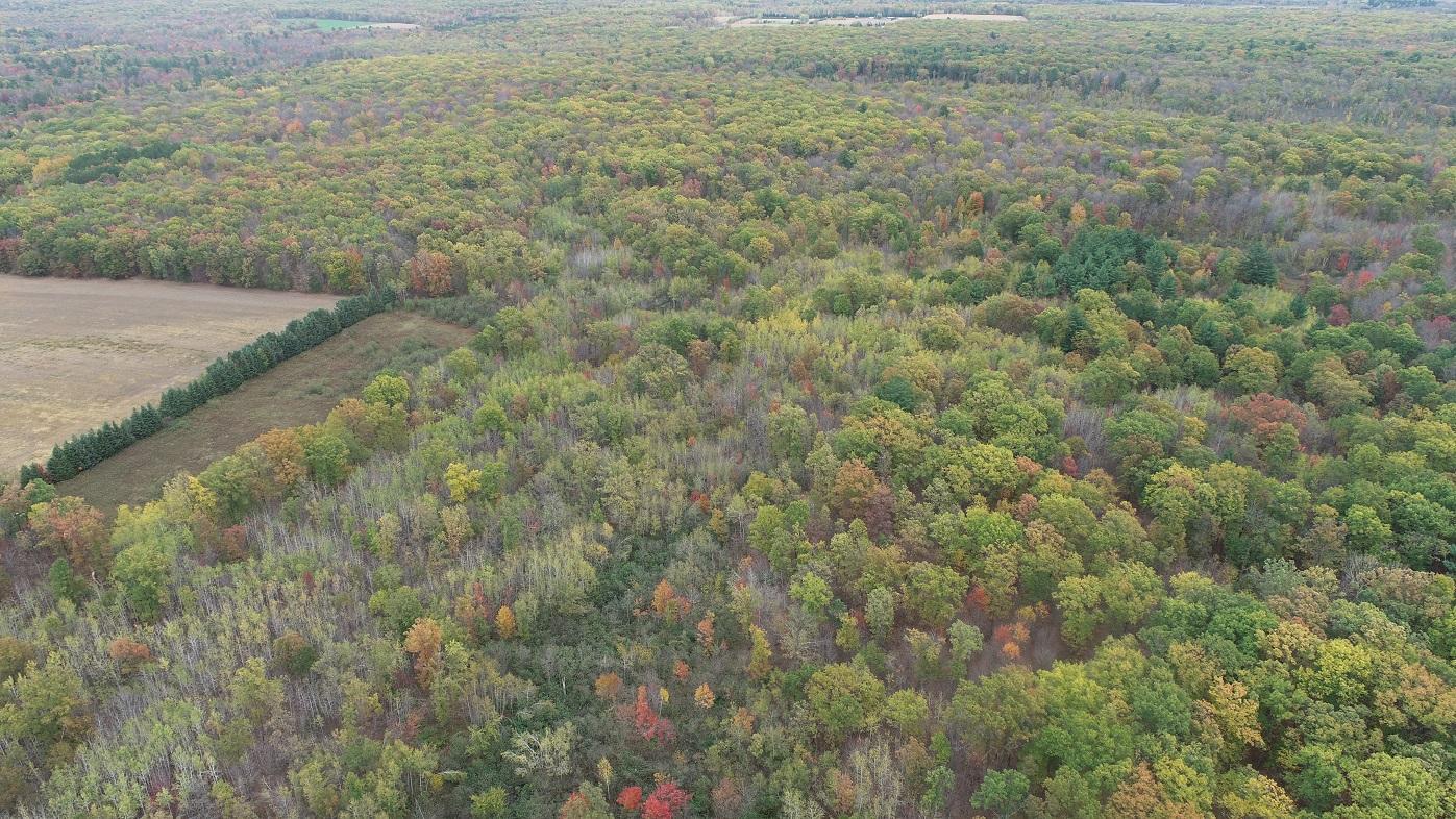 0 20th Avenue Cadott, WI 54727 - Photo 13 of 18