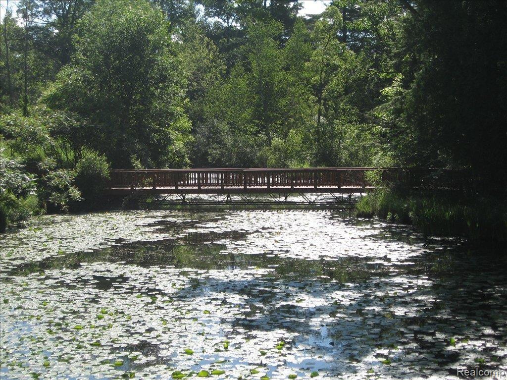 Vac Army Road Leonard, MI 48367 - Photo 2 of 12 "WALDON POND"