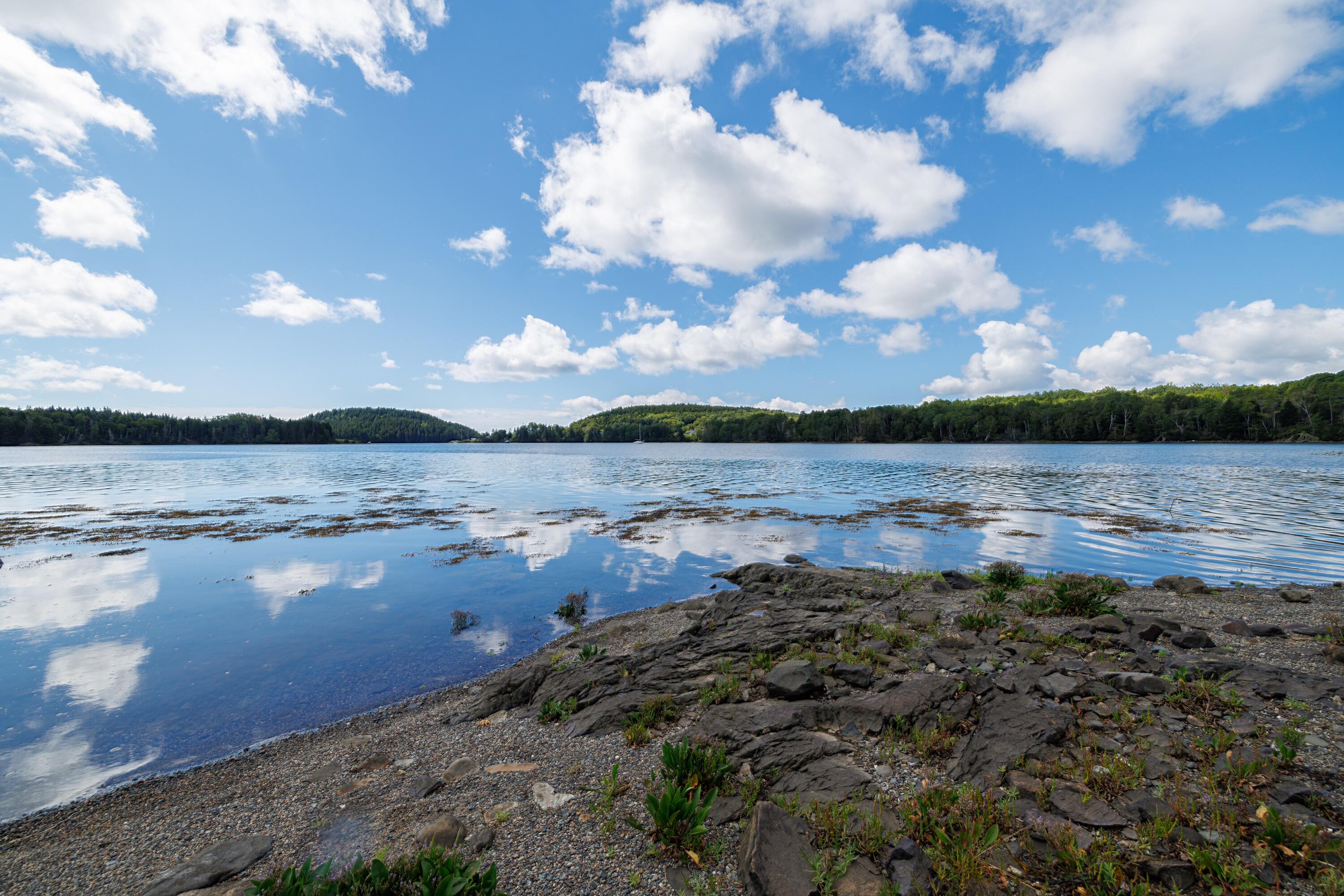 126 Holway Point Road Machias, ME 04654 - Photo 20 of 104 85-126 Holway Point HiRes-DTP