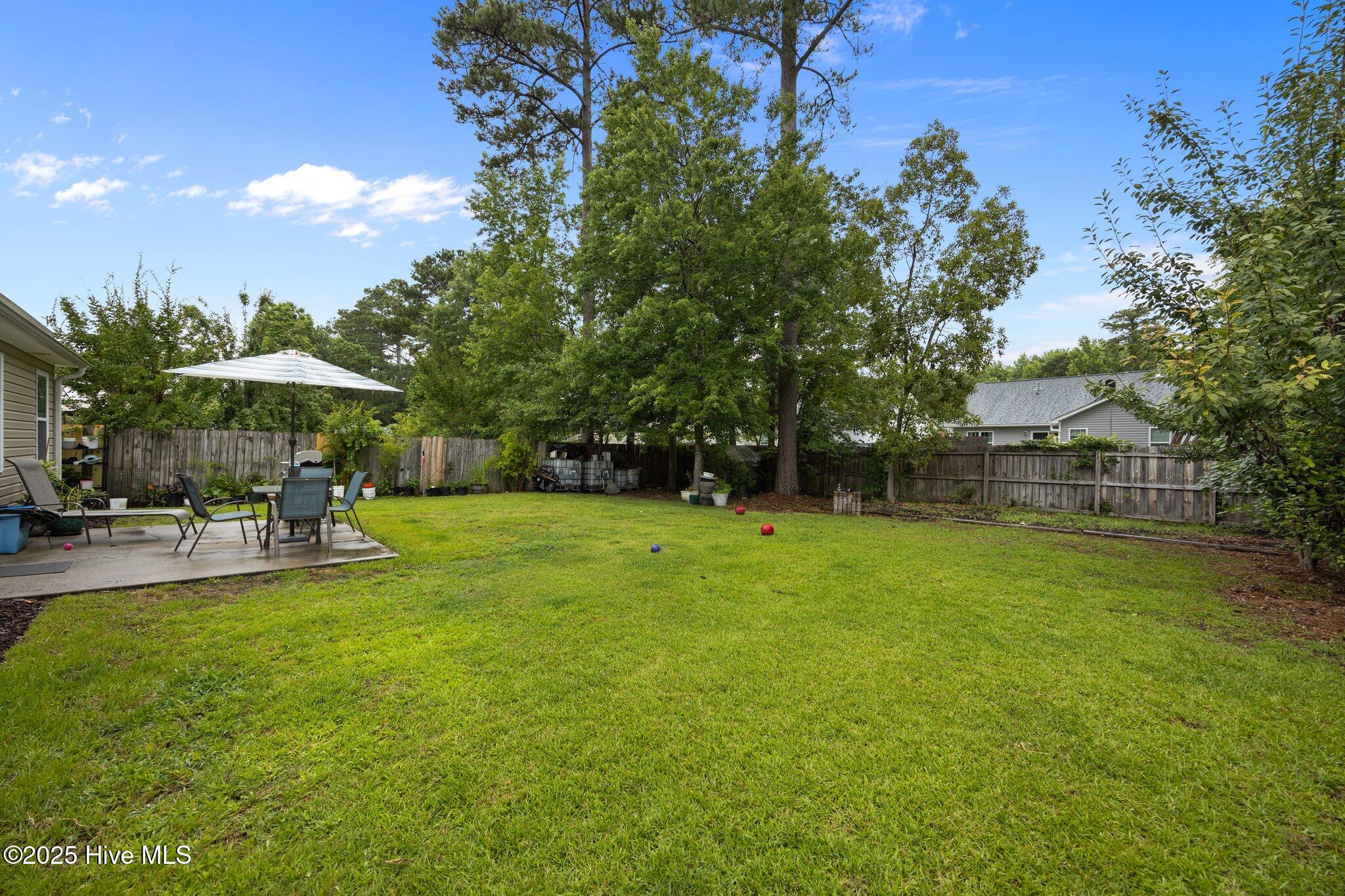 3106 John Willis Road New Bern, NC 28562 - Photo 28 of 31 back yard/ patio