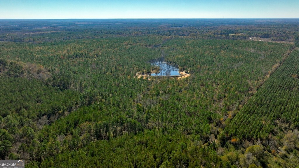 0 Morton Road Dublin, GA 31021 - Photo 26 of 38