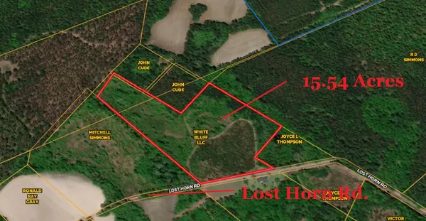 $100,000 | 0 Lost Horn Road, Reevesville, SC 29471