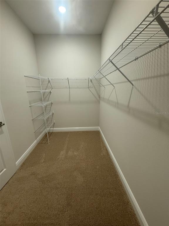 12132 Cattleside Drive Riverview, FL 33579 - Photo 26 of 31 a view of a room with racks on the wall