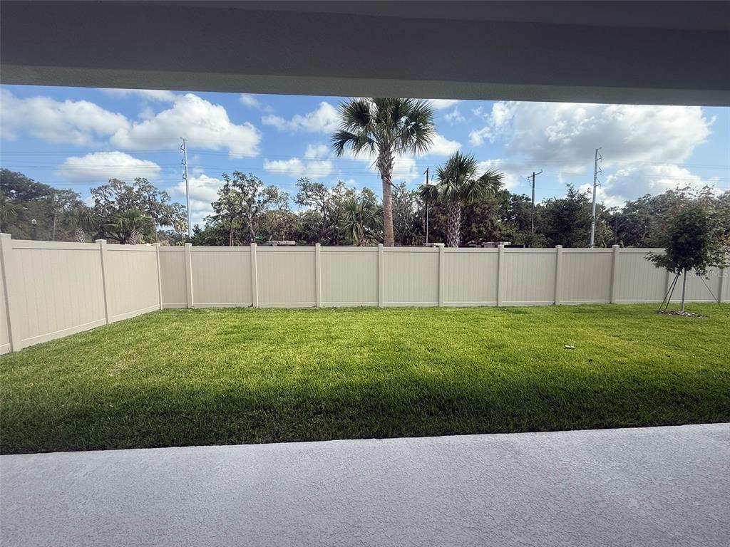 12132 Cattleside Drive Riverview, FL 33579 - Photo 31 of 31 a view of a backyard
