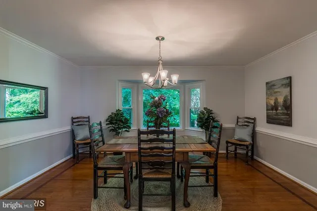 a dining room with furniture window and wooden floor