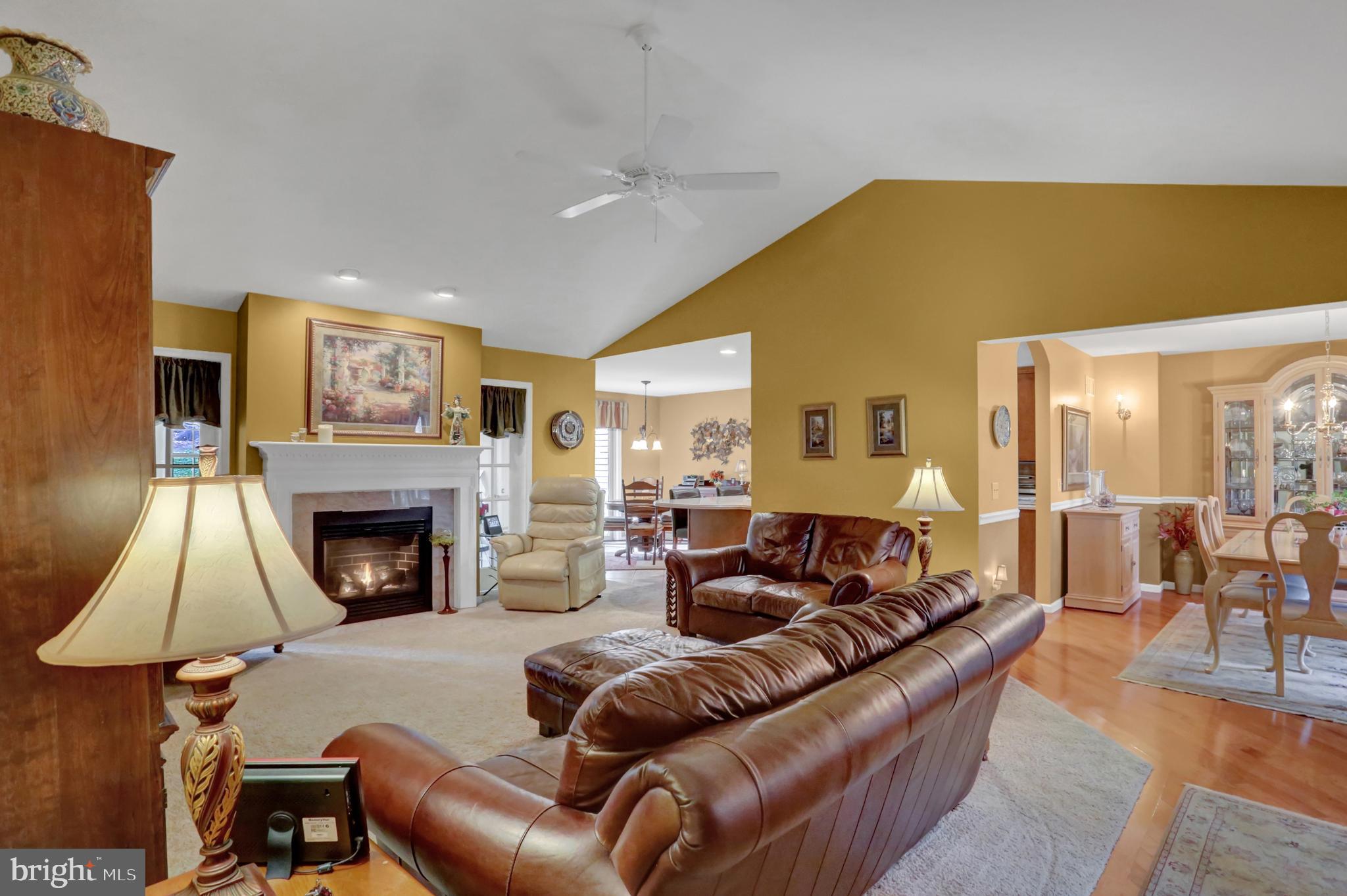 144 Rexmont Road Lebanon, PA 17042 - Photo 7 of 42 Living Room: Vaulted Ceiling, Gas Fireplace, Fan