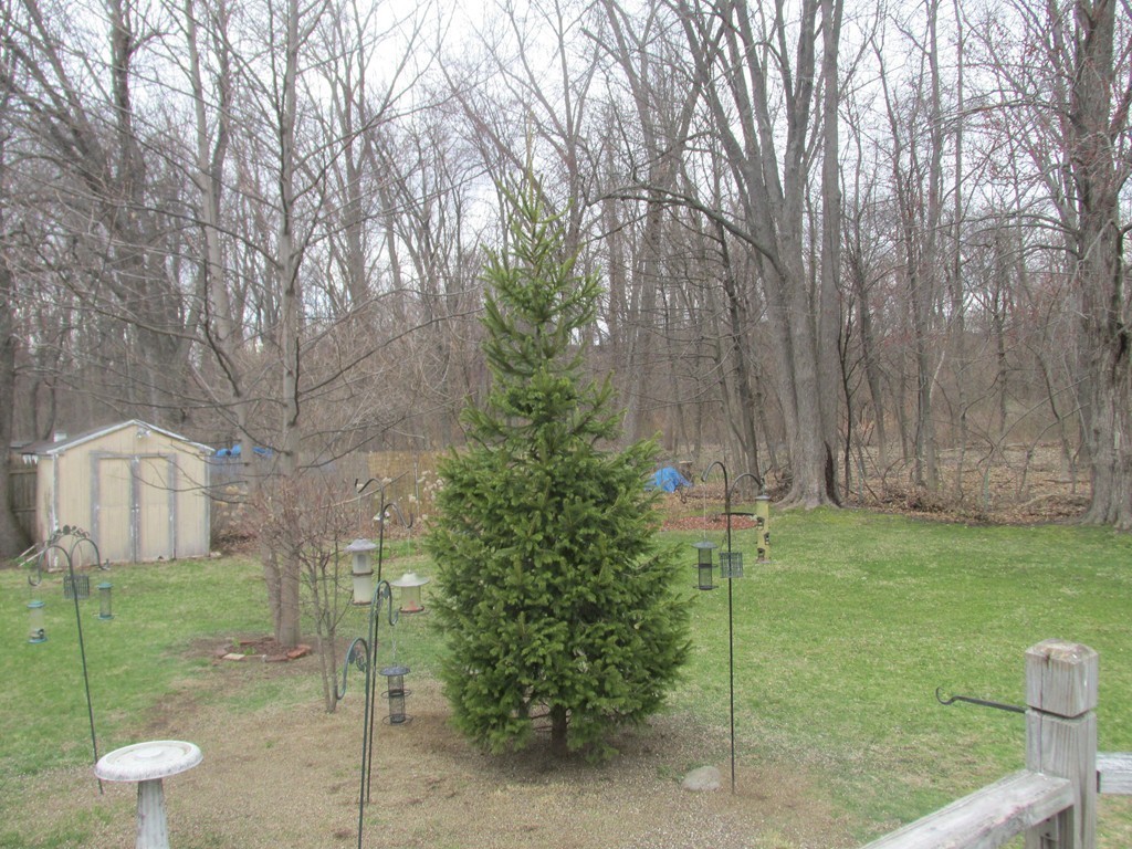 90 Mayher Street Springfield, MA 01104 - Photo 20 of 20 Gallery Image 20